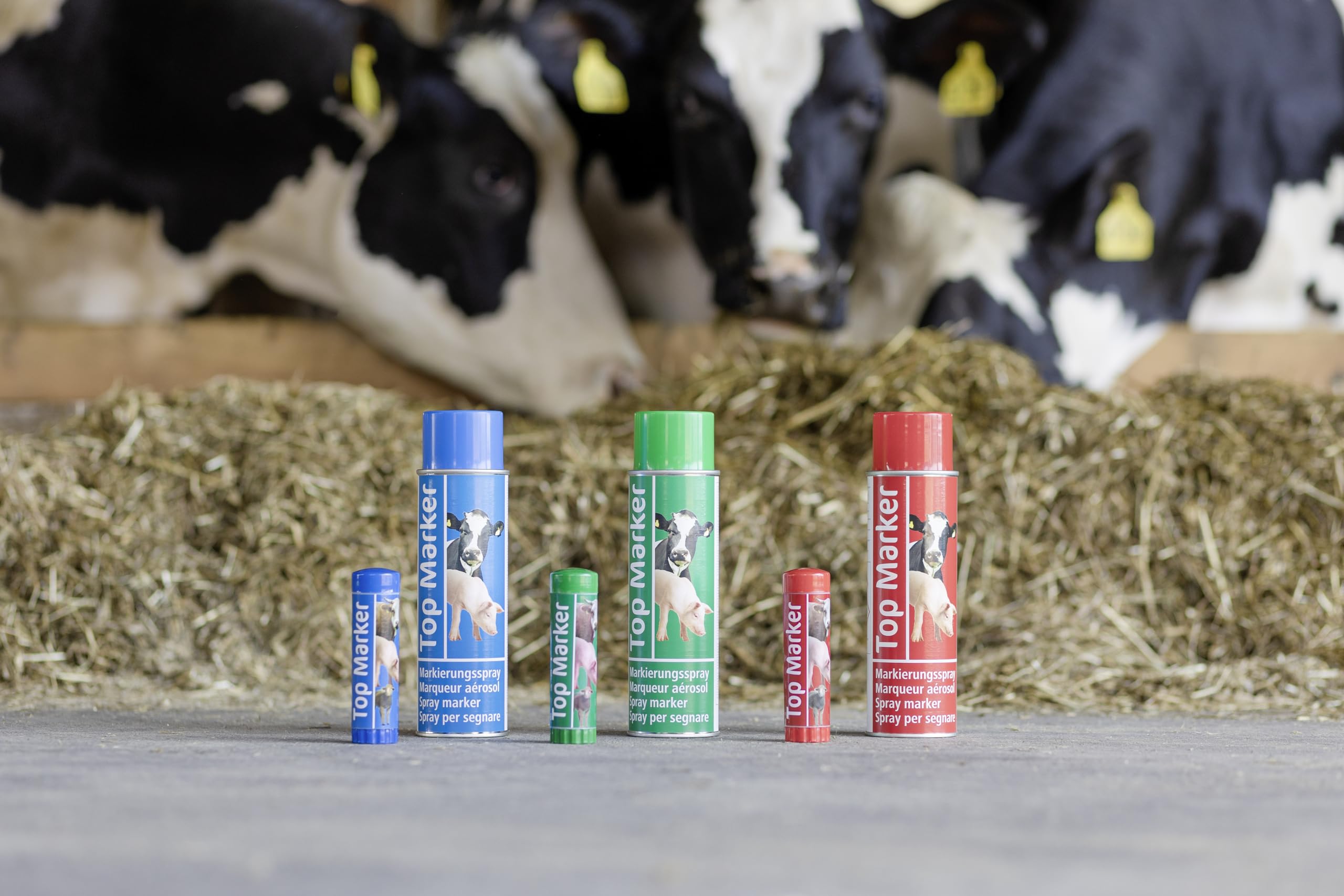 Produktbild von Kerbl Viehzeichenspray TopMarker 20124 – Rotes Markierungsspray 200ml Für Rinder, Ziegen Und Schweine, Schnelltrocknend, Farbstark