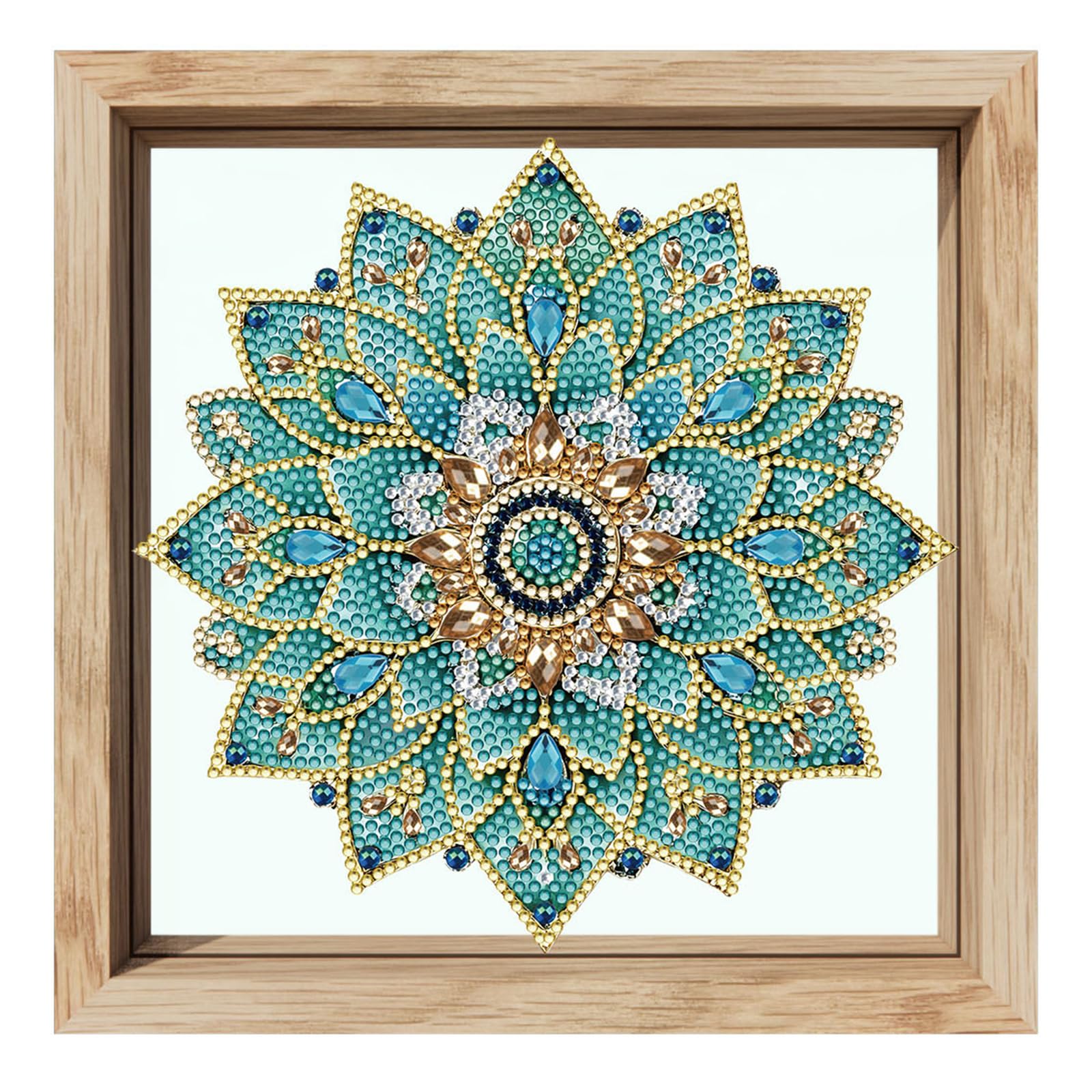 5D Diamond Painting Kit 20x20cm Vase with Frame Unique Shaped Gem Art for Beginners Home Wall Decor