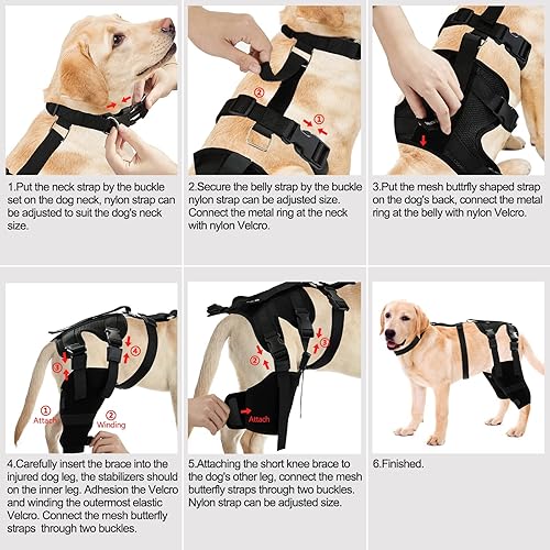 Miniatura 7 de HUAME Rodillera doble para perro, soporte para pierna trasera de ligamento cruzado anterior, rótula luxante, alivia el dolor de artritis y la