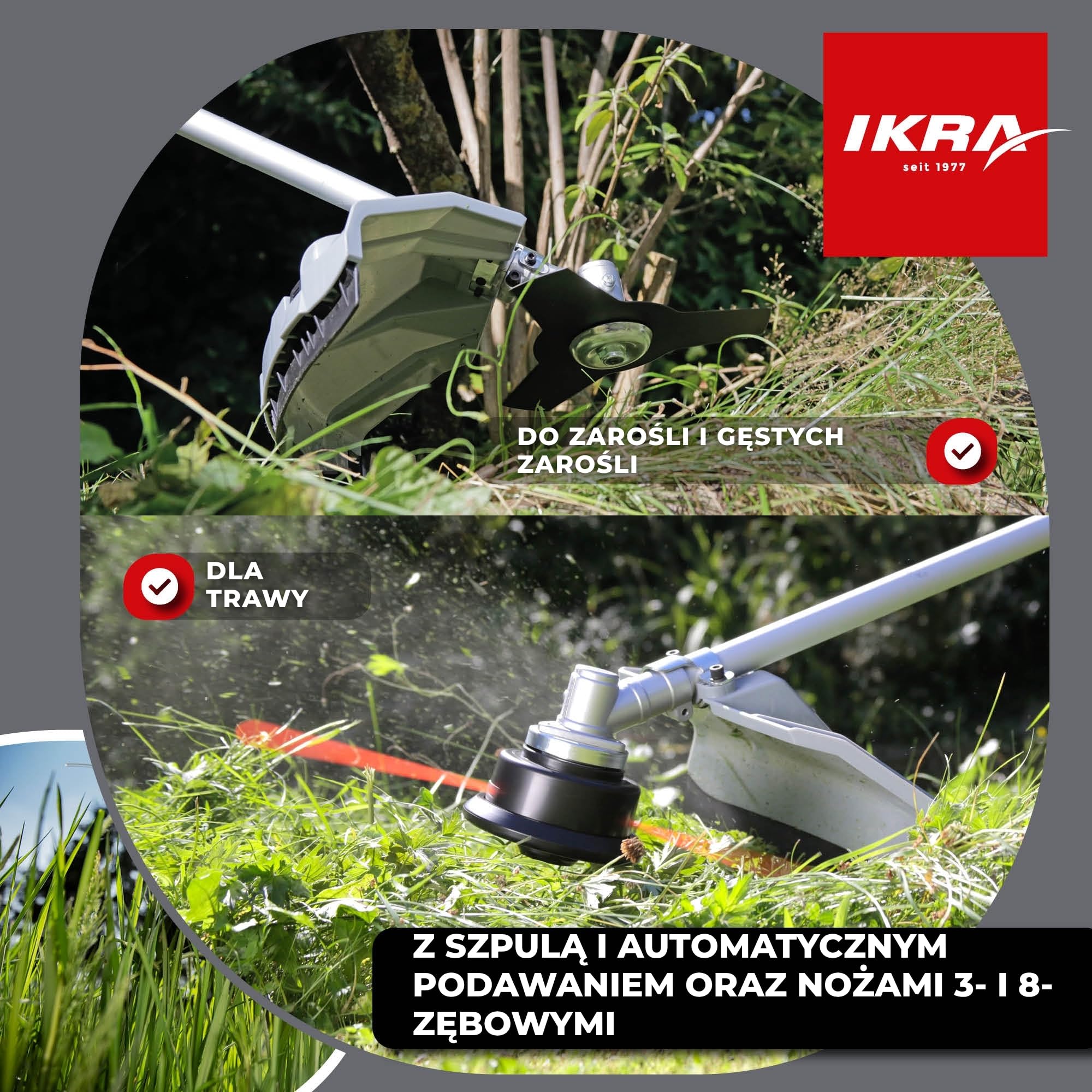 IKRA Podkaszarka spalinowa IBF 4342 z akcesoriami 42,7cm³ 1,25 kW | Zawiera noże 3- i 8-zębne,2 szpule i pas naramienny,mocny silnik 2-suwowy, łatwy rozruch,uchwyt rowerowy