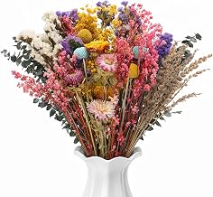 44-Piece Dried Flower Bouquet Decoration Set, 8 Varieties of Dried Flowers, Colourful Dried Flowers, Natural Straw Flowers, Dried Flower Bouquet for Living Room, Table Decoration, Home