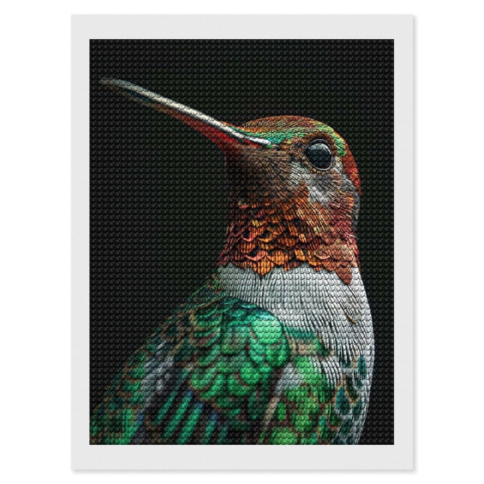 Junmoney Hummingbird Crystal Diamond Art Kit 12"x16", Modern Decor, Boho Decor, Wall Art Gift, Decorative Artwork, Creative Hobby