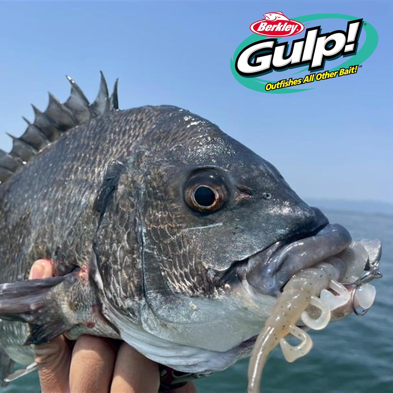 Berkley ターボシュリンプ