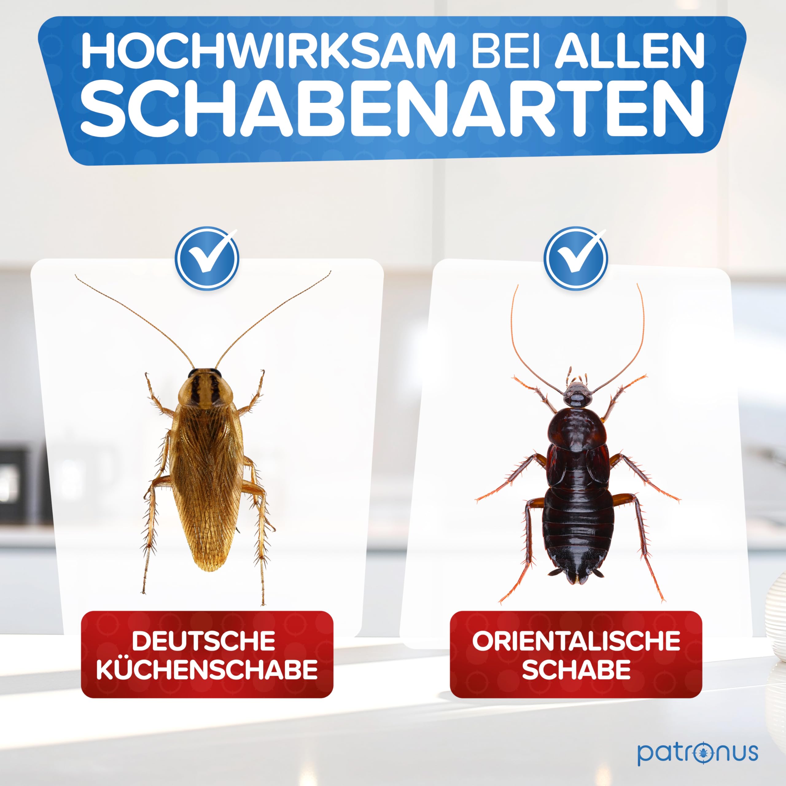 Patronus Schaben Power Fogger mit maximaler Sofortwirkung [2x 150 ml] | effektiver Vernebler zur Abwehr von Schaben & Kakerlaken, ideal für kleine Schaben-Verstecke - aus deutscher Produktion