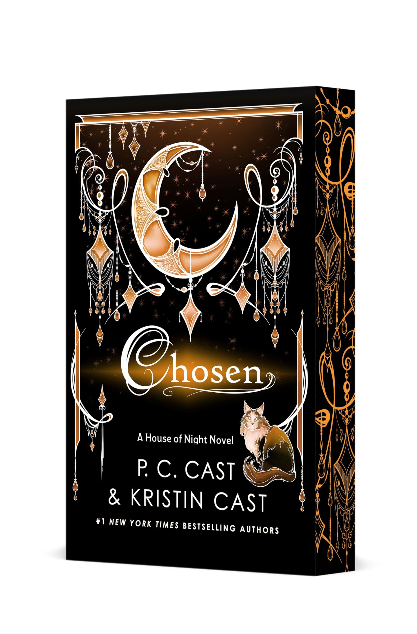 Chosen: Deluxe Edition: 3 (House of Night Novels)