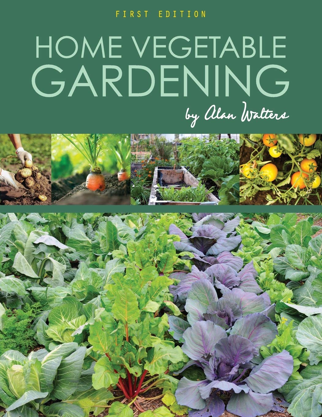 Buy Home Vegetable Gardening — BookShops.in