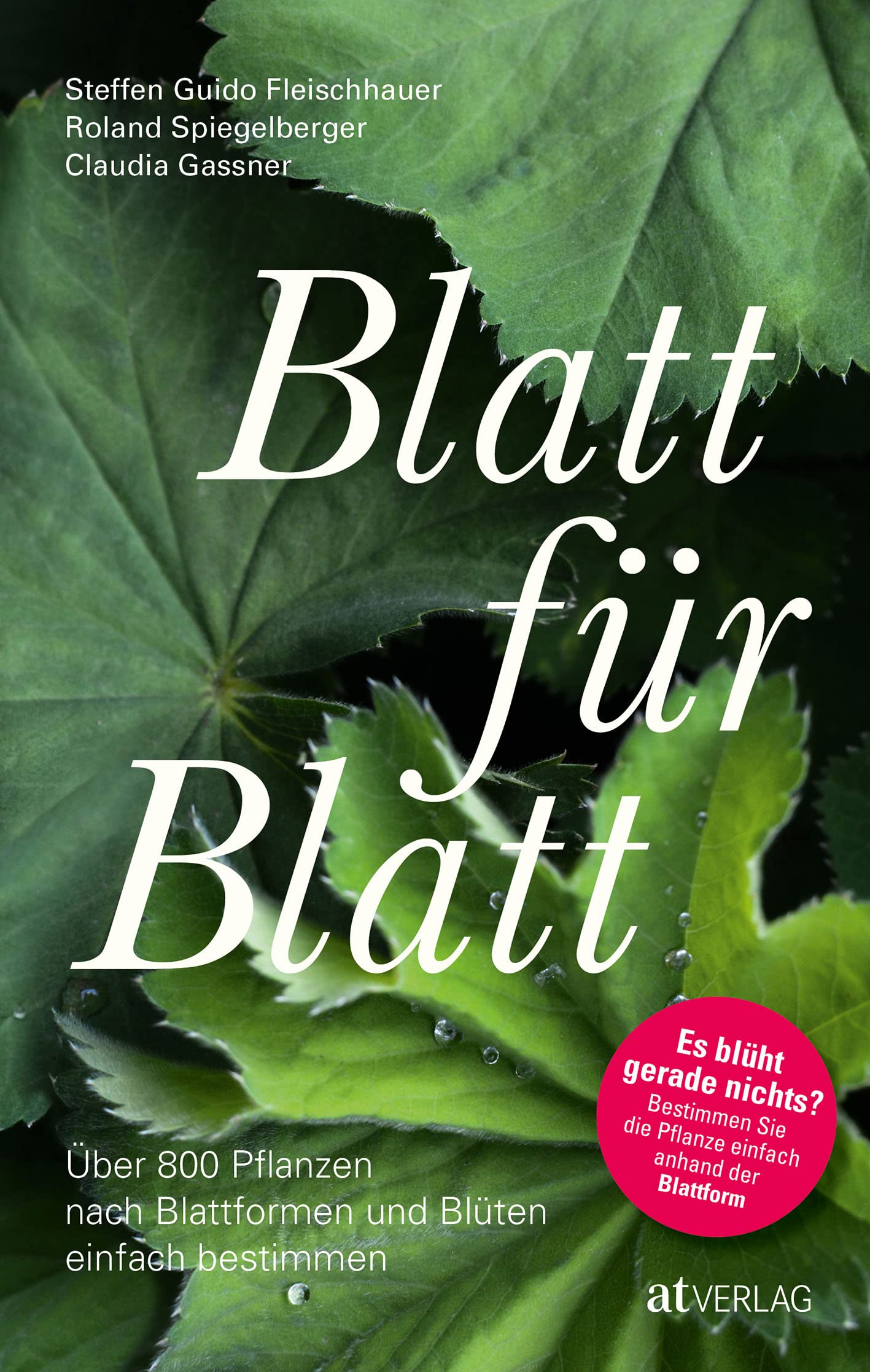 Blatt für Blatt: Über 800 Pflanzen nach Blattformen und Blüten einfach bestimmen