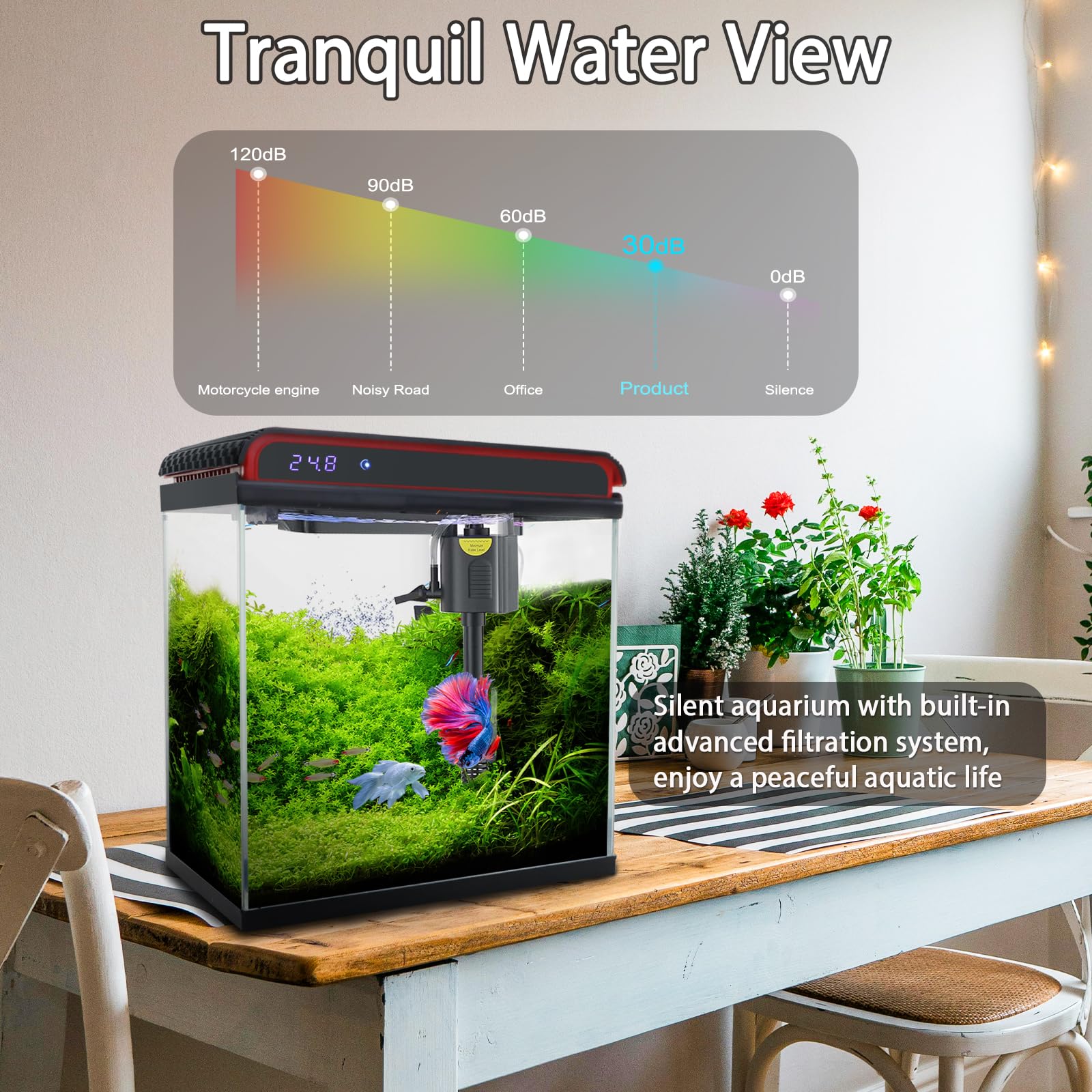 Amazon.com : 20 Gallon Fish Tank Smart Aquarium Kit, Glass Small