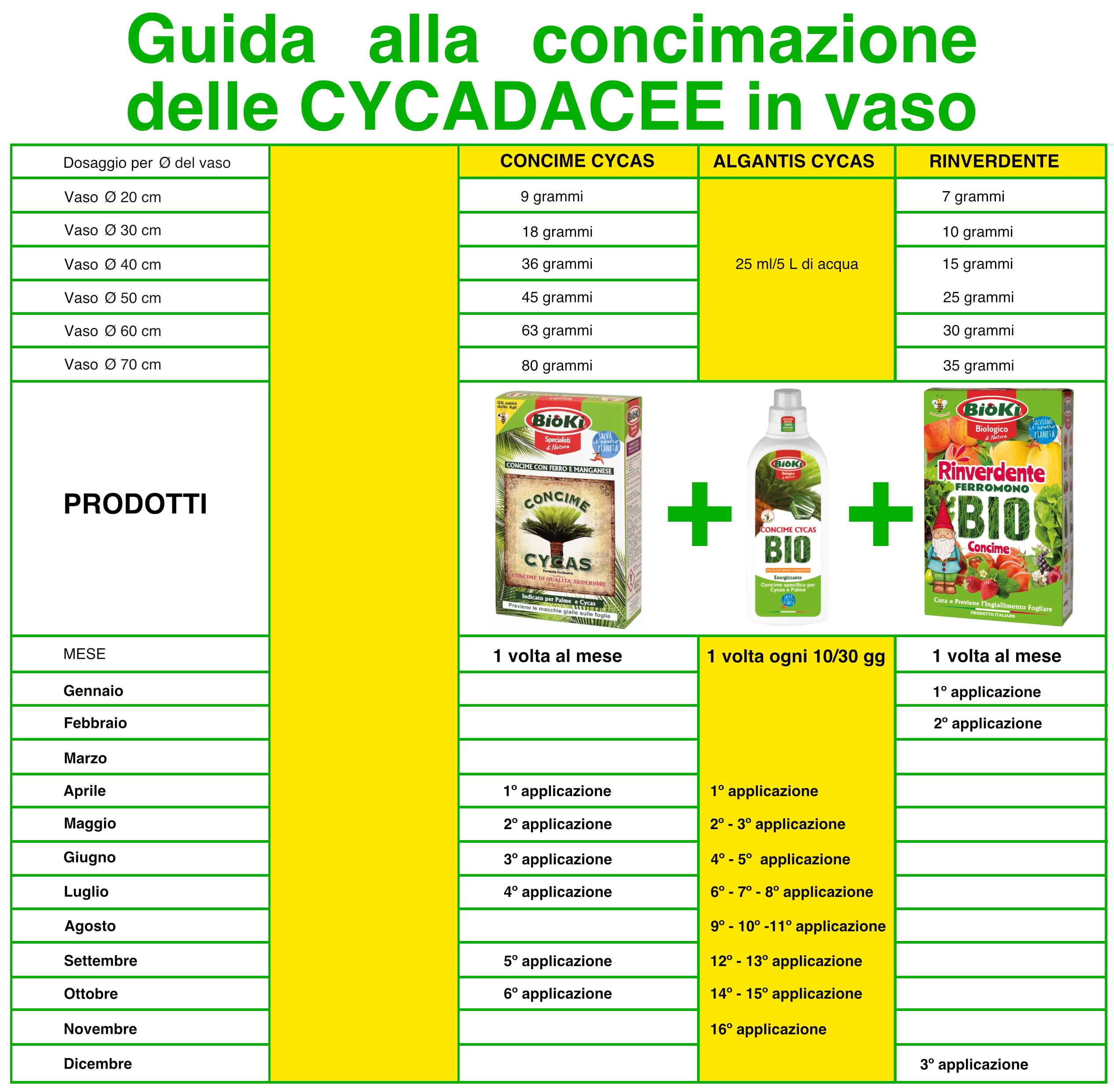 Bioki® Energizzante per Piante Verdi Tropicali Liquido + Concime Naturale Per Cycas Con Azoto Organico, Fosforo E Potassio per Foglie Sempre/Verdi E Rigogliose (COMBO PACK)