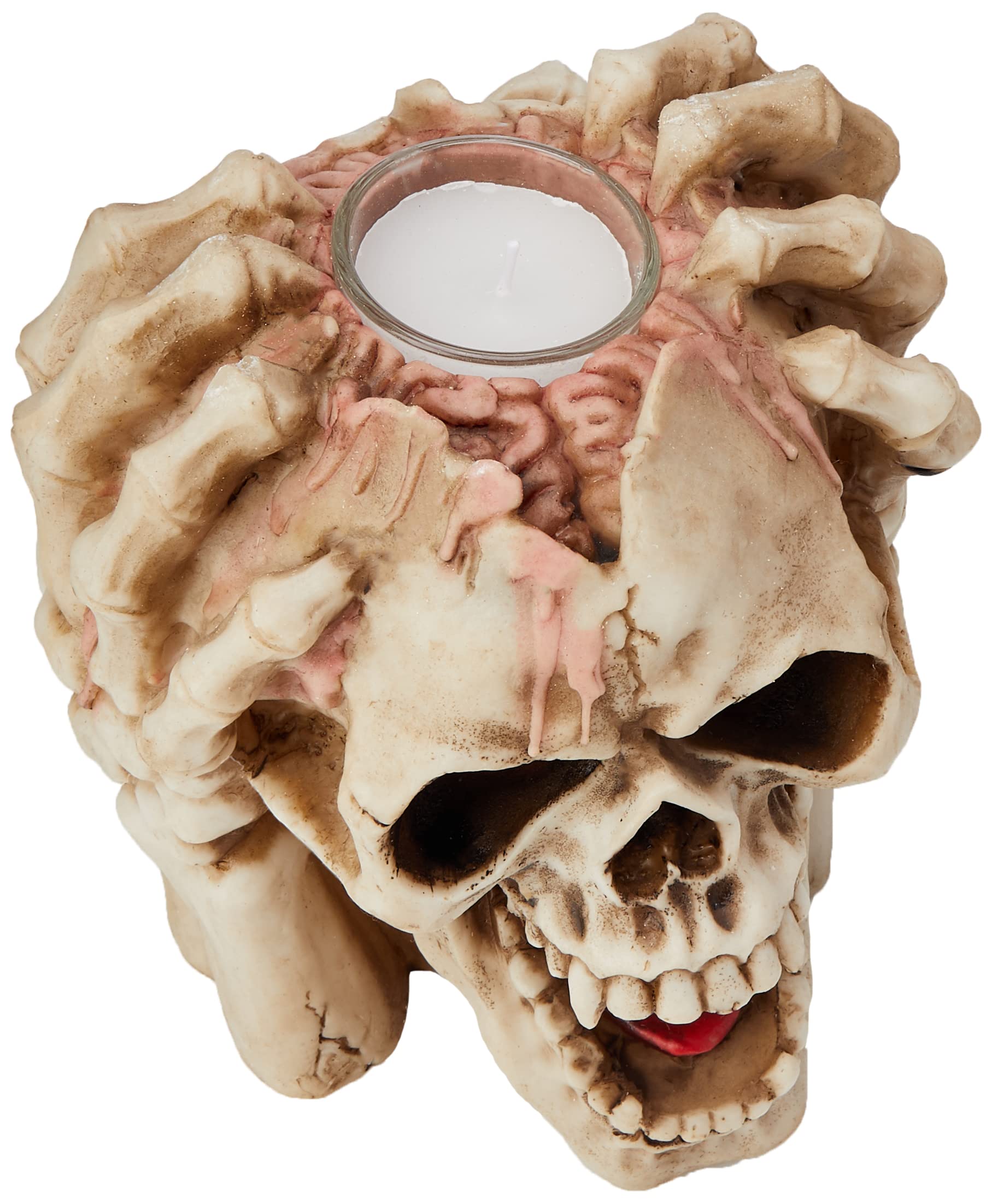 Amazon.com: Nemesis Now Splitting Headache Tealight Holder 16.5cm
