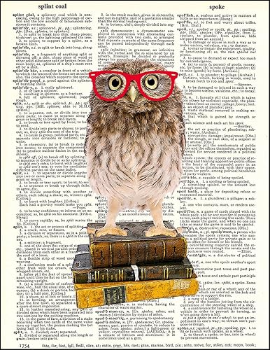 Diccionario Arte impresiónBúho Smarty Pants Nerdy Young búho con anteojos Rojo Impreso en papel reciclado clásico Diccionario8.5"x11"Mixed