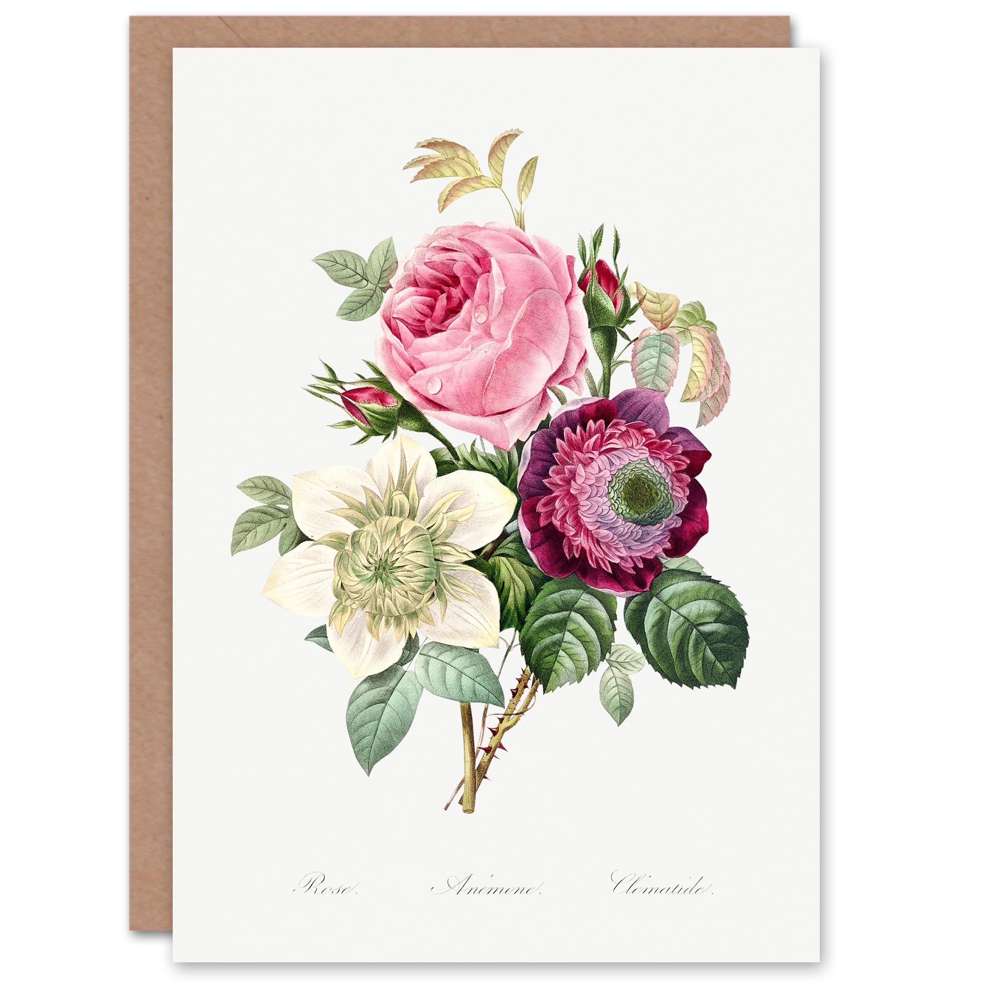 Artery8 Pierre-Joseph Redouté Art Card Anemone and Cabbage Rose Flower
