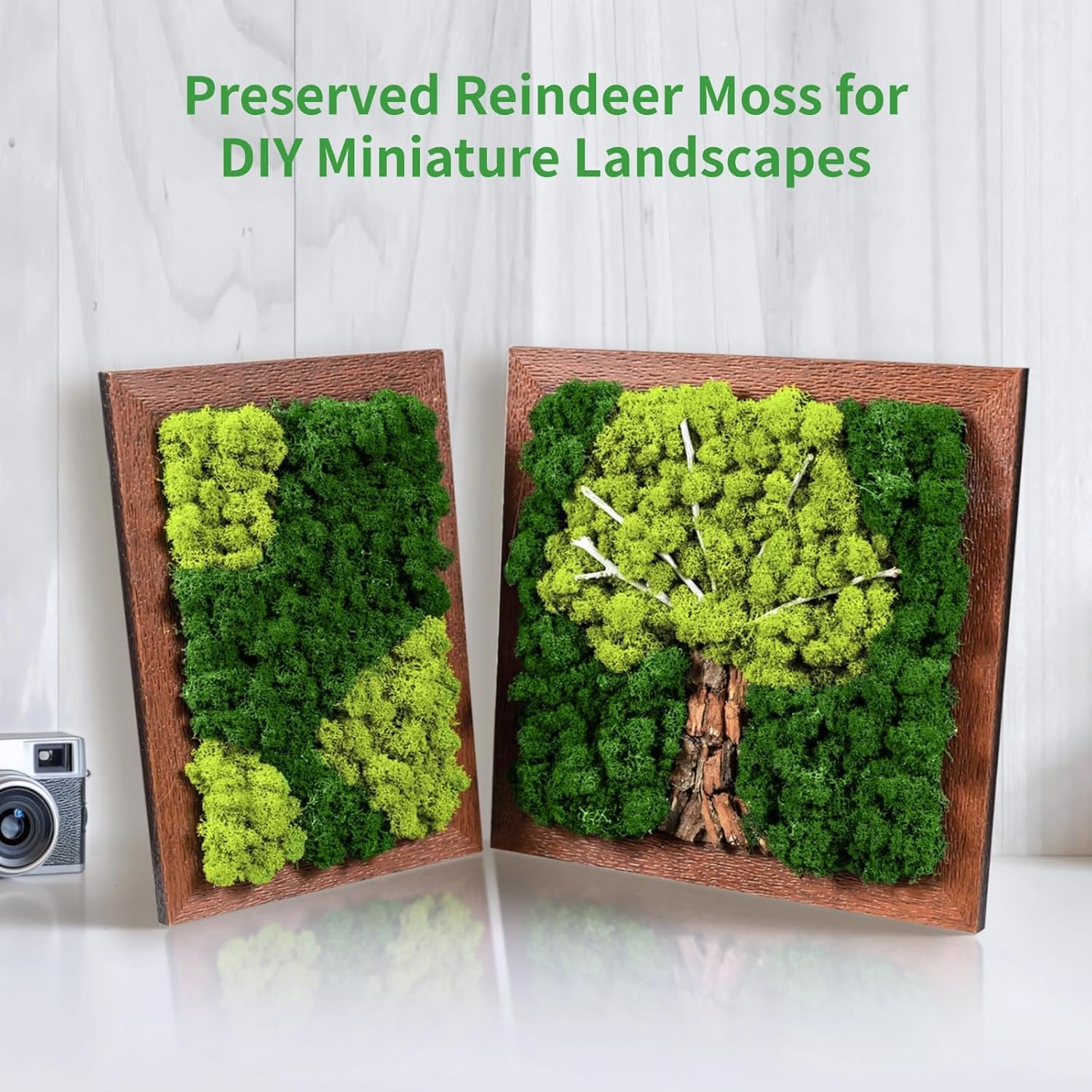 Texture Natural Green For Miniature Landscapes, Craft Projects Home Decor, Four Colors Reindeer Moss Preserved Perfect Diy