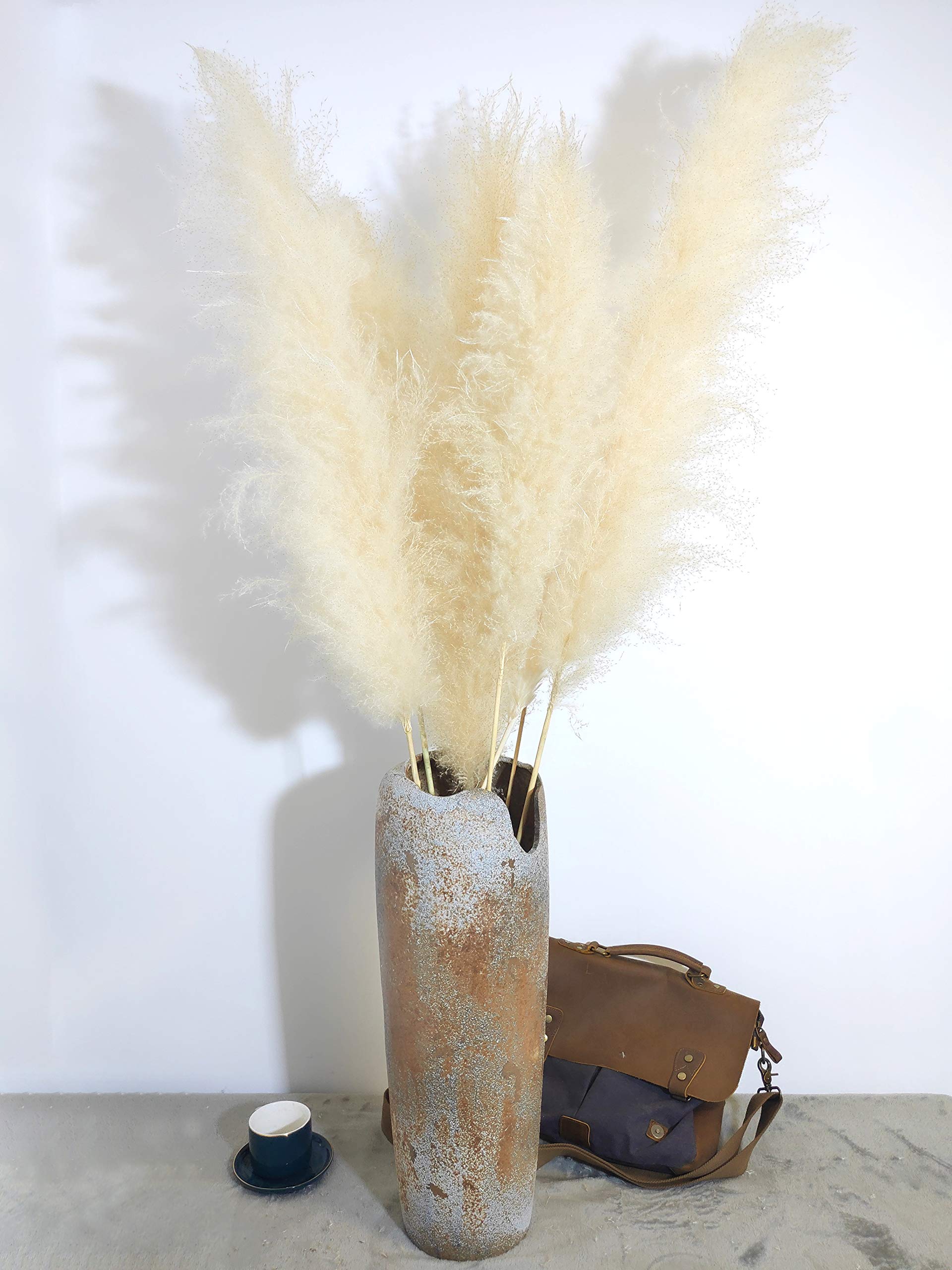 QIANYUN 5Pcs 47.2in Large Fluffy Dried Pampas Grass | Nutural Dried Reed Grass | Dried bouquet flower | Wedding Photographing Arrangement Home Decor Beige color