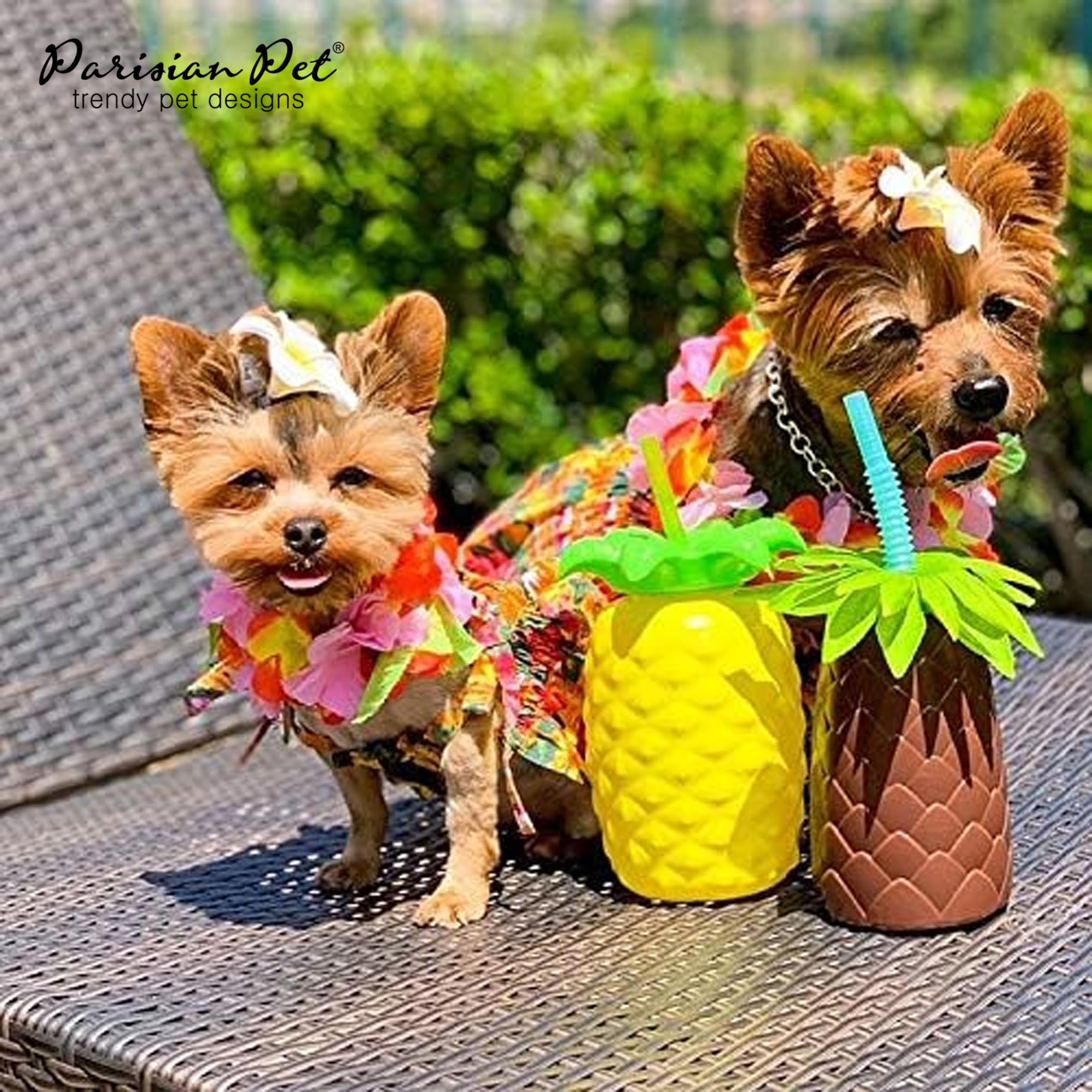 summer dress dog fashion Tie Dye Contrast Stitch Bodycon Mini Dress main image 1
