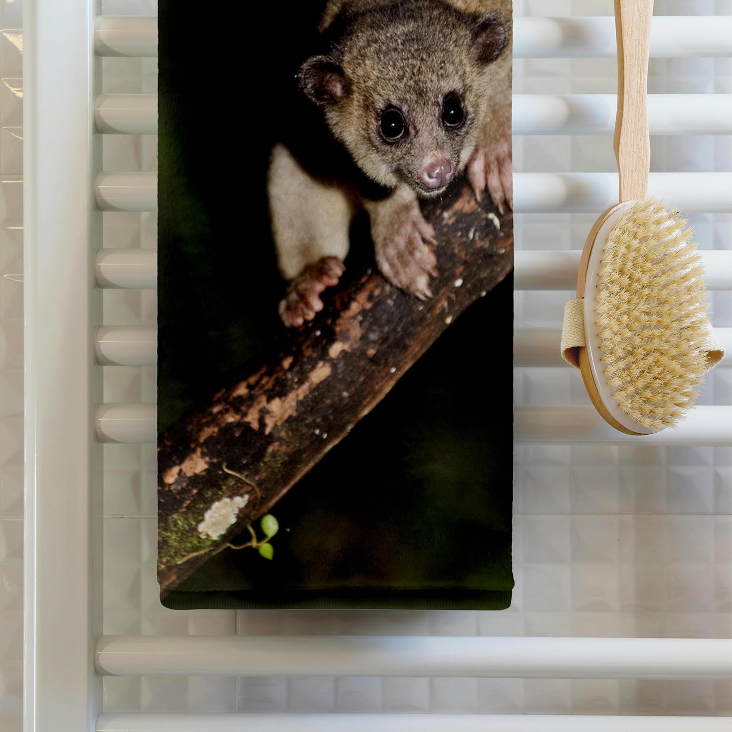 3dRose Kinkajou, Mindo, Andes, Ecuador - SA07 POX1981 - Pete Oxford 22x30 Bath Hand Pool Towel