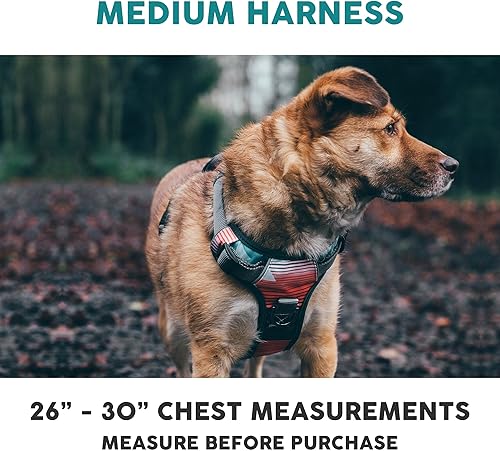 Miniatura 10 de Embark Adventure - Arnés para perro con ribete reflectante sin tirones para perros grandes, nailon de grado militar, clip frontal con mango forrado