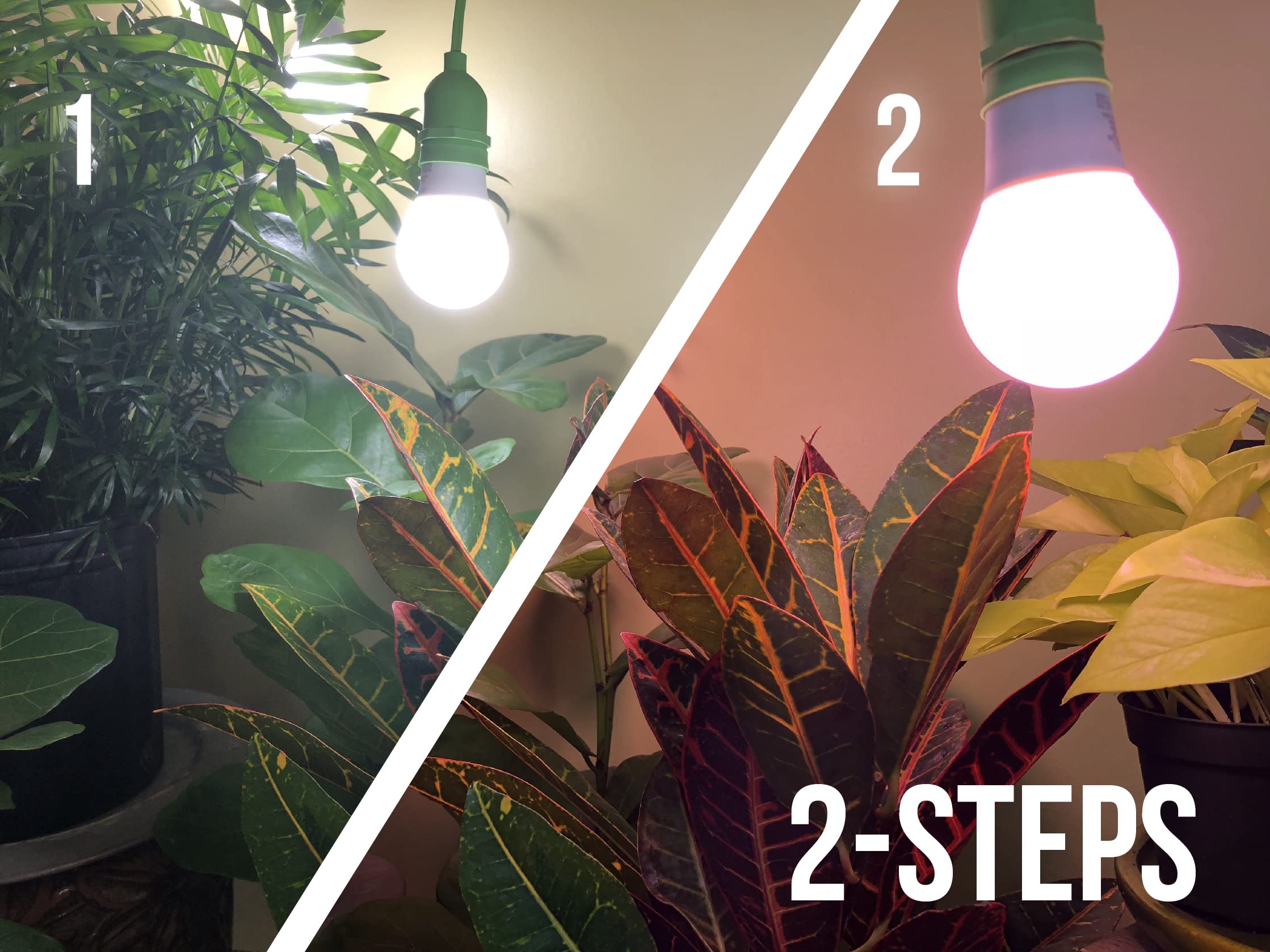 Miracle Punchy ライトー2個セット Miracle Punchy LEDライト 2個