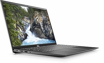 sahara　DELL VOSTRO 15 3000(3591) Amazon.com: Dell Vostro 15 3590 Home and Business Laptop