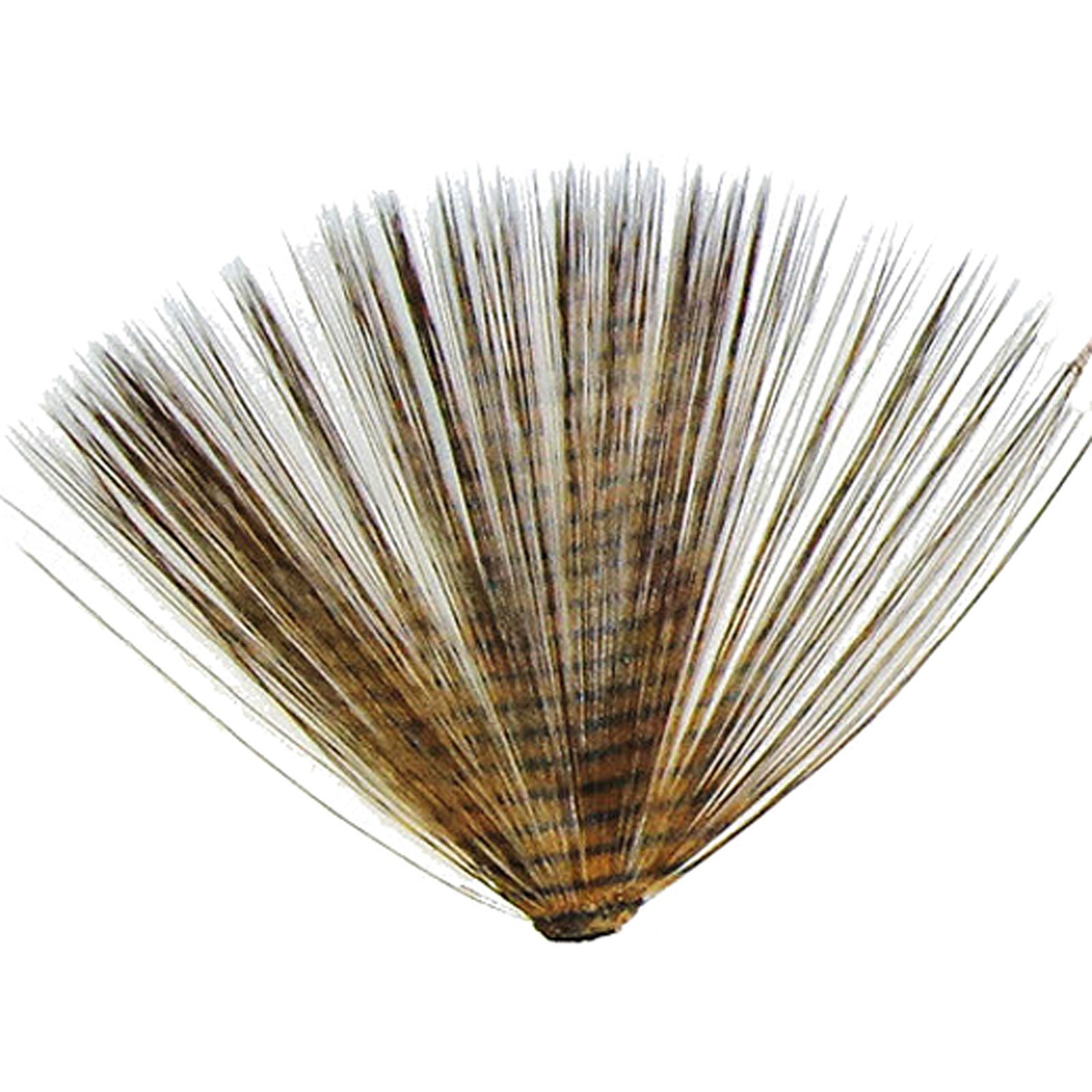 MFC Micro-Barred Fibbetts Brown/Black