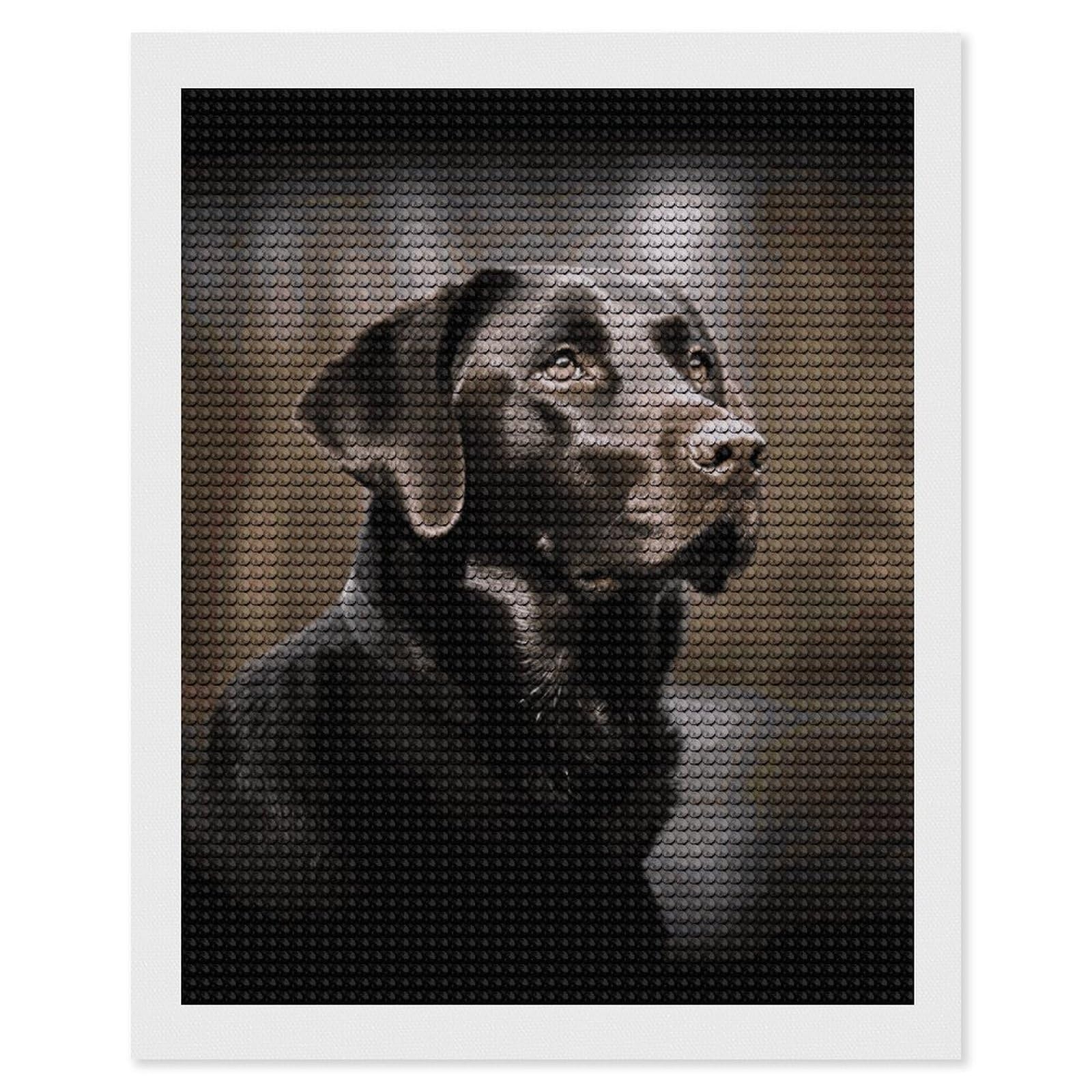 FodPand Diamond Art Kits for Adults, 5D Aurora Diamond Painting Kits for Beginners, Labrador Retriever DIY Full Drill Dots Gem Art Paint Crafts for Home Wall Decor 16"x20"