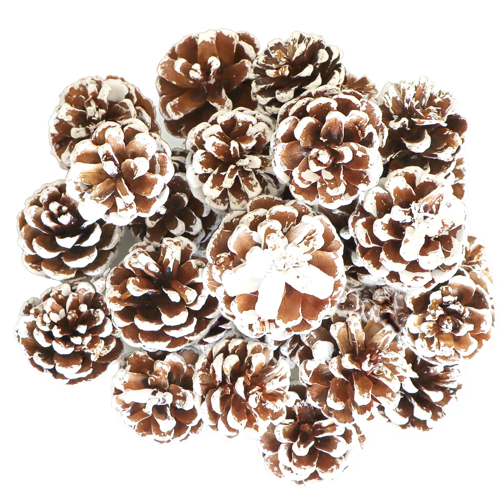 25 piñas de pino naturales de Navidad, piñas rústicas de nieve con cuerdas, adornos colgantes para árbol de Navidad, etiquetas de regalo y decoraciones de fiesta de invierno (1.6-2 pulgadas)