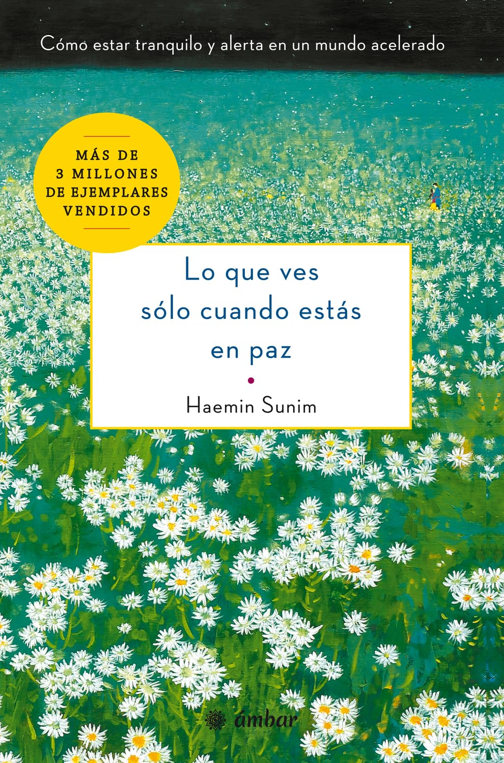 Lo Que Ves Sólo Cuando Estás En Paz: Cómo Estar Tranquilo Y Alerta En Un Mundo Acelerado