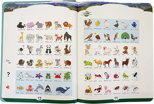 Miniatura 2 de Libro de alfabeto árabe para niños con traducciones al inglés, aprender el número del alfabeto árabe Corán, libro de aprendizaje en árabe para