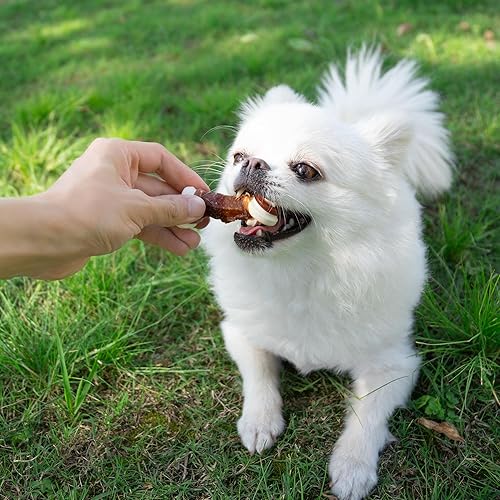 Miniatura 7 de MON2SUN Golosinas para perros sin cuero crudo de 2.5 pulgadas con verduras mixtas, mini huesos de nudo envueltos en pato para perros pequeños,