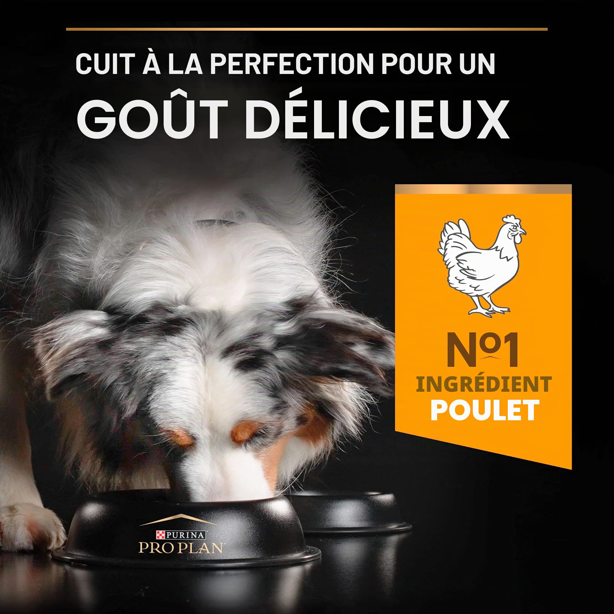 Purina Pro Plan – Aliment sec pour chien adulte moyen avec Optibalance 4 x 3 Kg