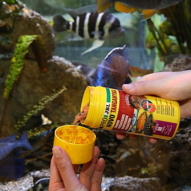 Foto 4 de 8 de JBL PRONOVO TANGANYIKA Flakes, alimento Principal para Todos los cíclidos de 8-20 cm