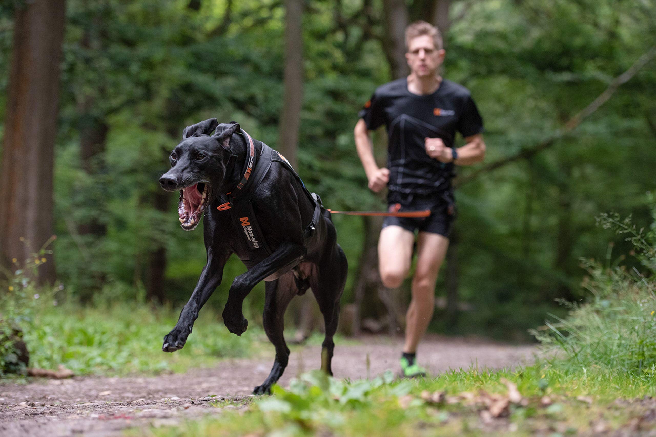 Dog Copenhagen Non-Stop Canicross - Arnés de Movimiento Libre, Talla T3