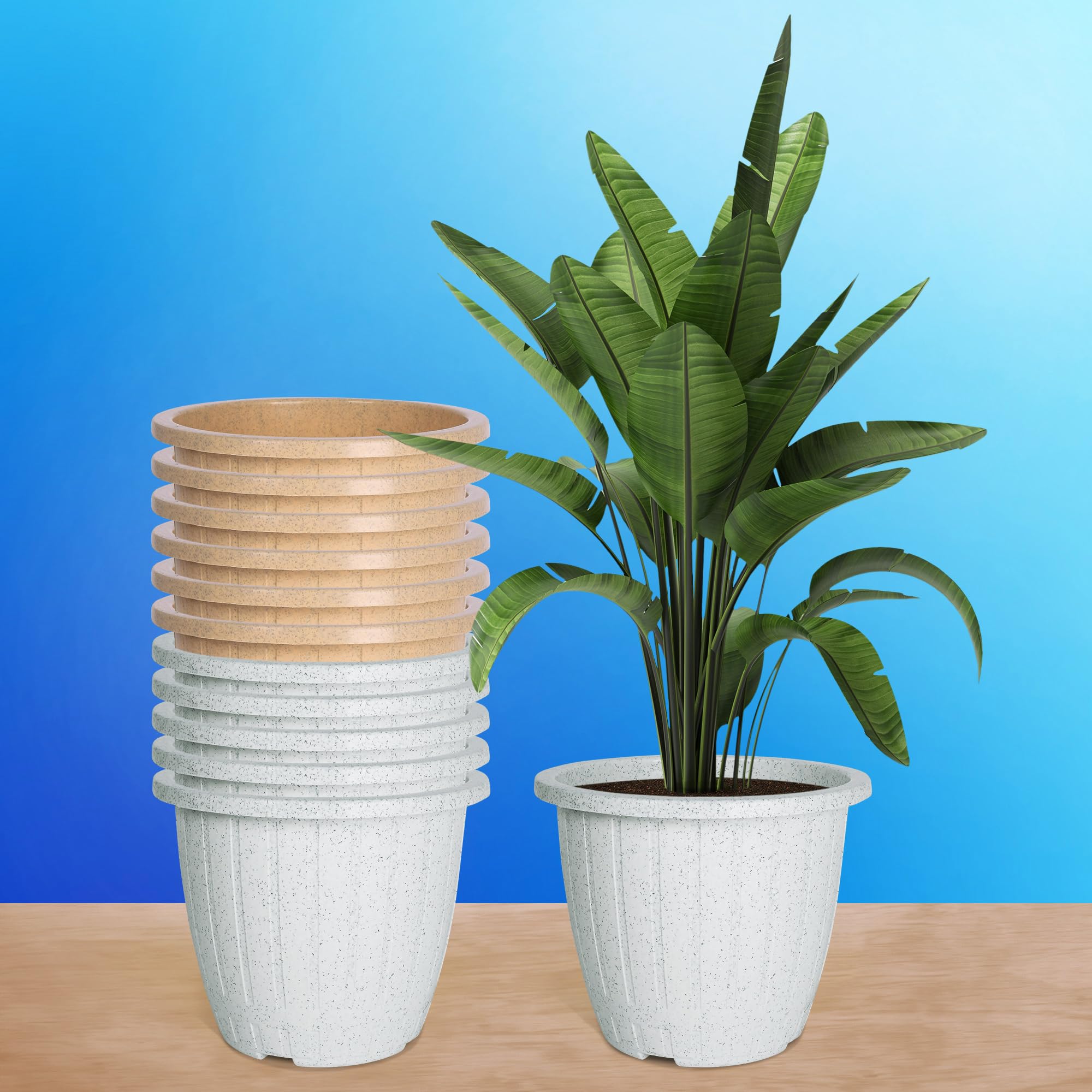 Kuber Industries Pack of 12 Flower Pot | 8 Inch | Flower Pot for Living Room | Planters for Home-Lawns & Gardening | Window Flower Pots for Balcony | Marble Duro | White & Beige (B0D4HT6NB1) Amazon Price History, Amazon Price Tracker