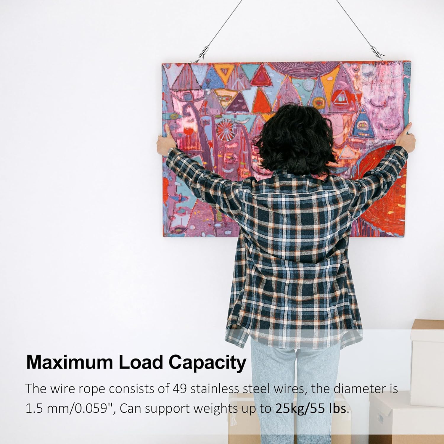 Picture Hanging Wire Kit - 25kg Load Capacity, 2 Pack Adjustable Stainless Steel Wire Rope with D Ring, for Hanging Mirror, Light Lamp, Basket Flowerpot and Decor