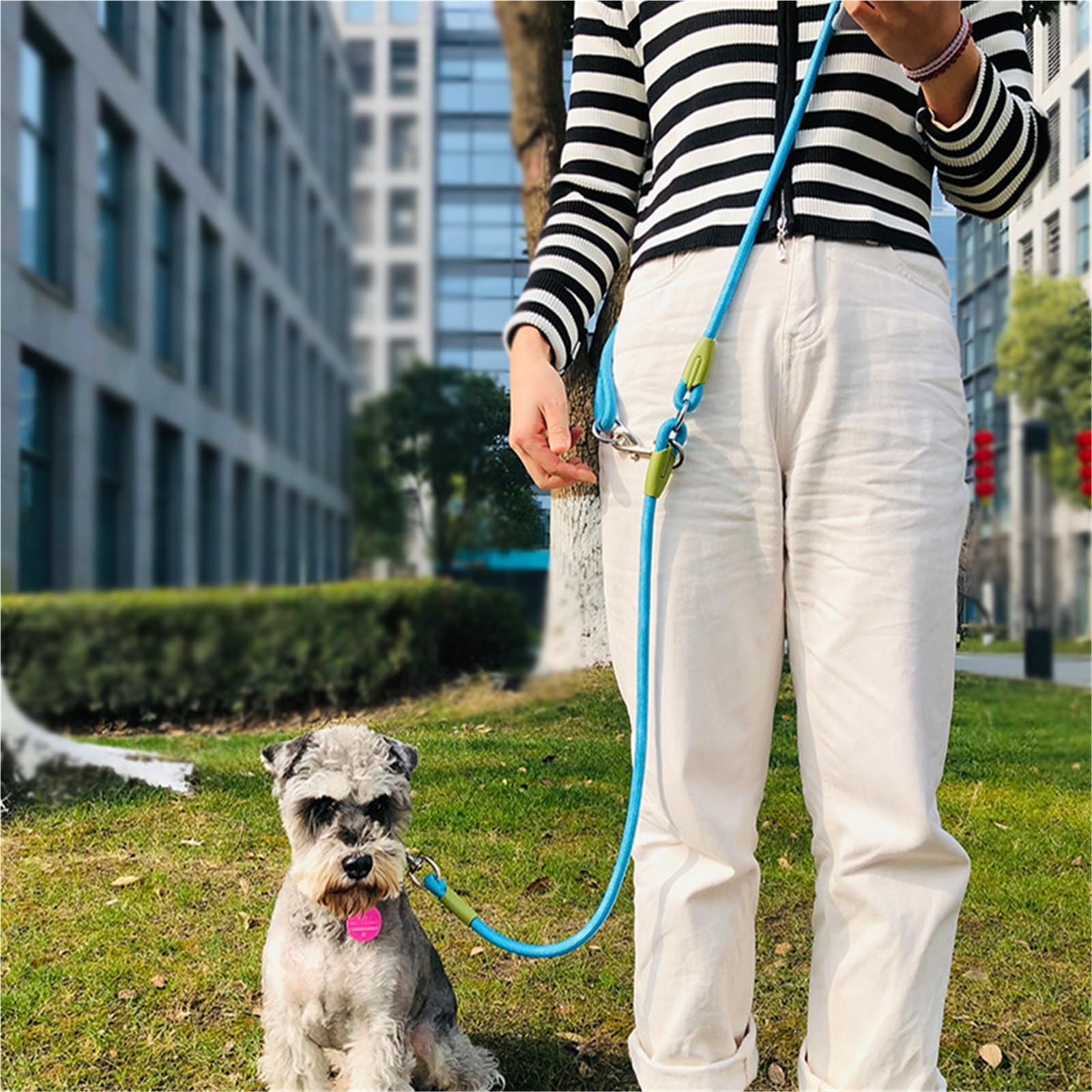 Ceinture de Traction pour Chien Laisse en Nylon for Chiens de Compagnie, Corde Traction for la Course, Marche, Les Mains Libres, for Petits et Grands(Orange,1.2CM 240CM)