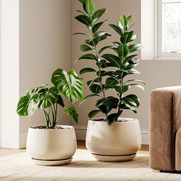 LE TAUCI Ceramic Plant Pots, 10 + 12 Inch, Set of 2, Reactive Glaze Beige