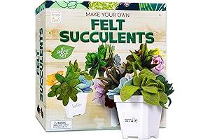 Hapinest DIY Arts and Crafts Succulent Plant Craft Kit