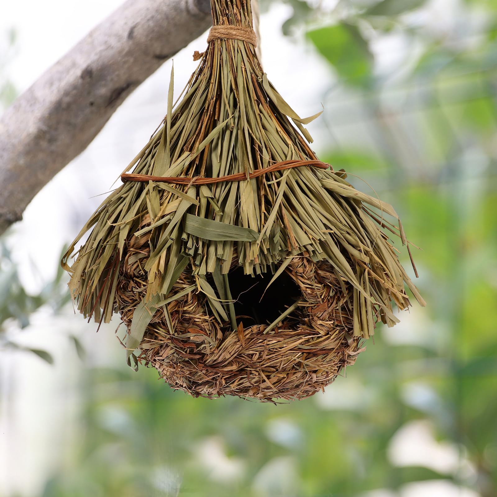 Nid d'oiseau colombe pour le salon - Mangeoire à oiseaux en bambou - Décoration en forme de goutte - Accessoires pour oiseaux à suspendre - Paille tissée