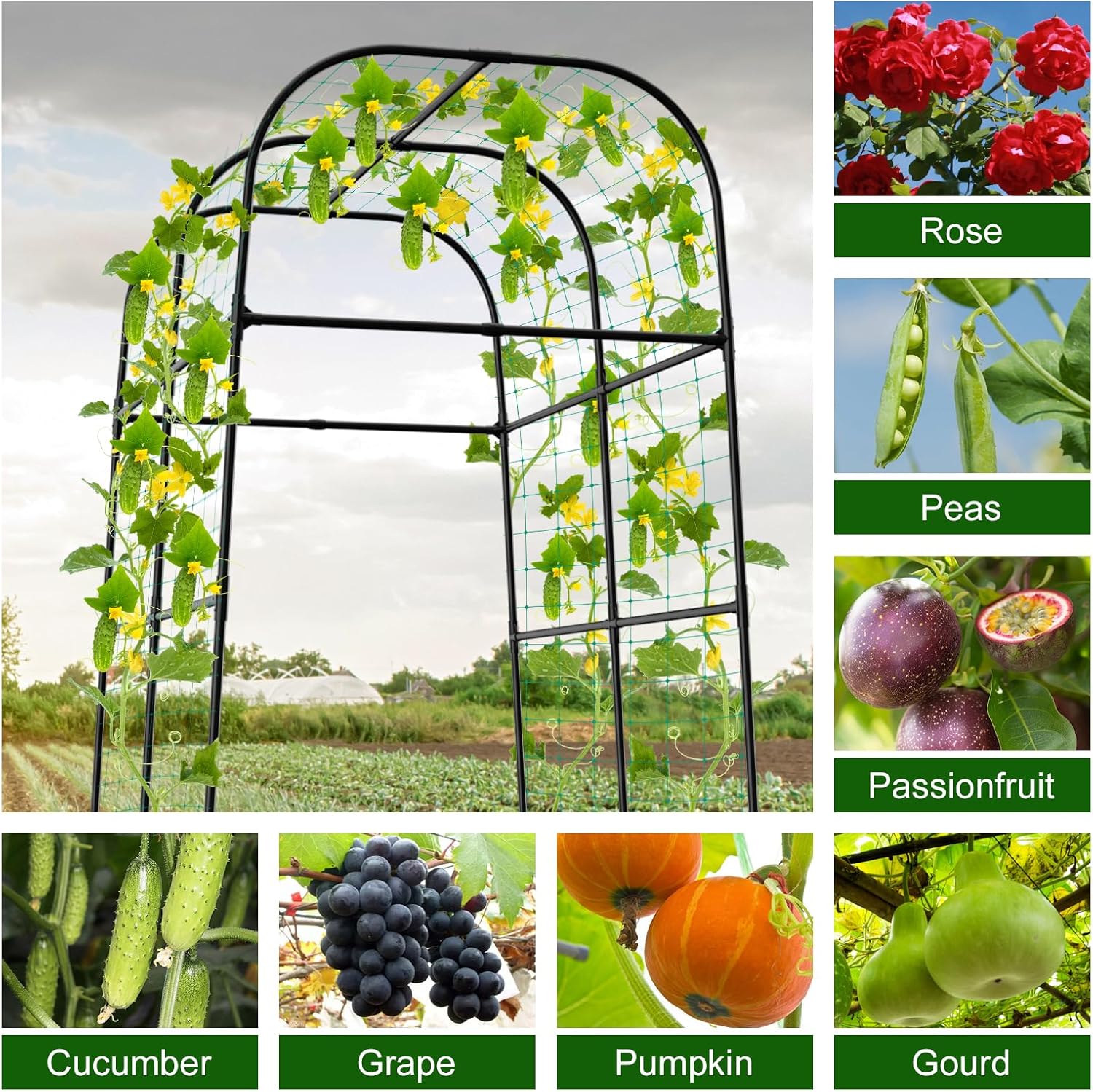 7.2FT Cucumber Trellis for Raised Bed, Garden Arch Trellis with Net, Rustproof Metal Plant Support for Climbing Plants Outdoor, Tomato Zucchini Squash Bean Pea Melon Vine, Rose Flower Garden Arbor