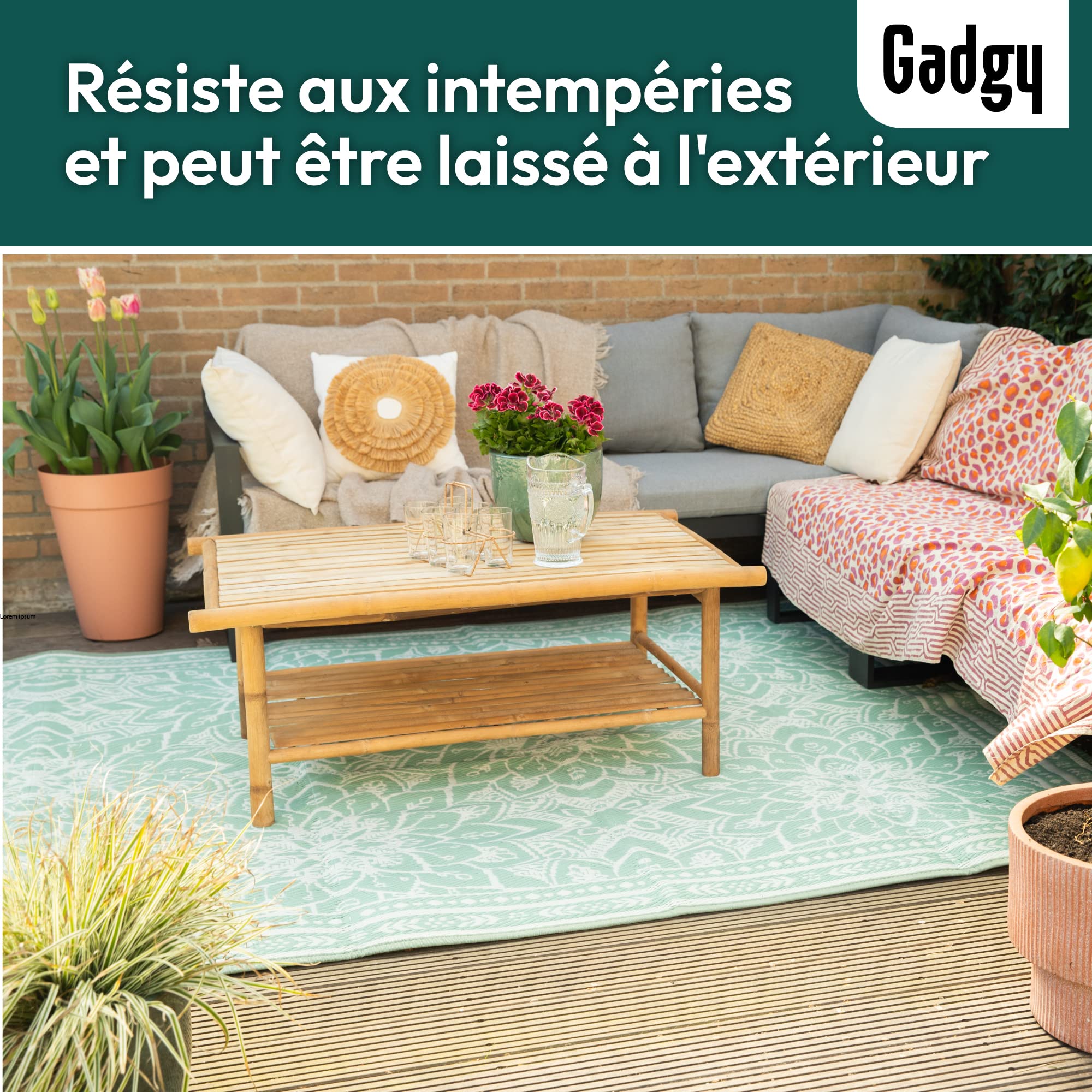 Gadgy Tapis Exterieur Resistant Pluie 300x200cm, Imperméable, Résistant à L’Eau & Aux UV, de Elegant Jardin Tapis, Réversible avec Sac Transport, Vert