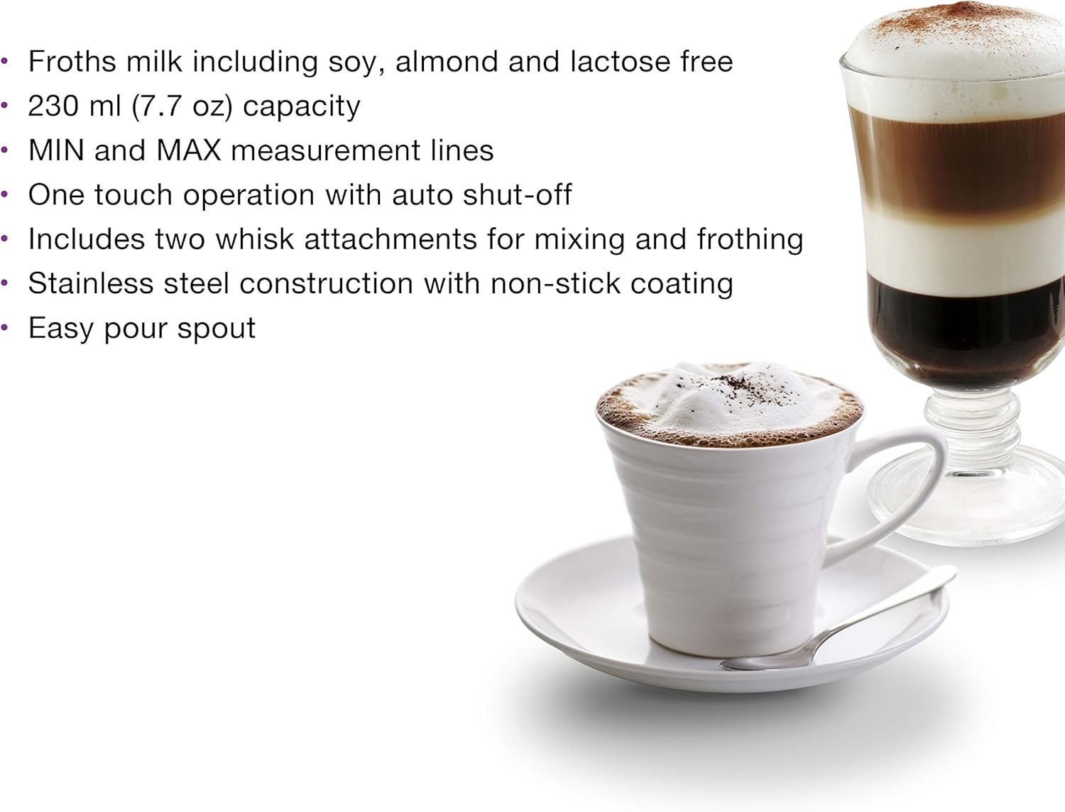 Salton Stainless Steel Milk Frother