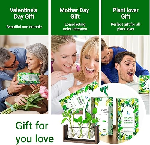 Miniatura 6 de Ivolador - Estación de propagación de plantas para colgar en la pared, terrario de plantas de bulbo con soporte de madera, regalos únicos de