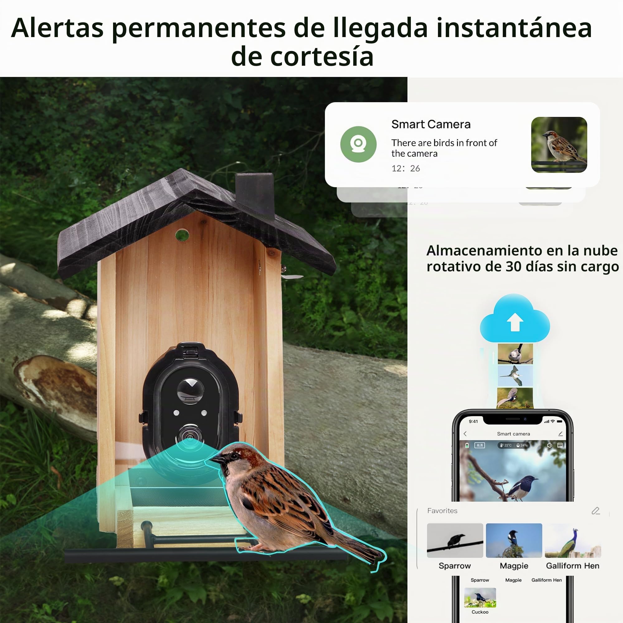 Origem Comedero para Pájaros Smart 3L con Cámara y Detección de Pájaros AI GratuitaAlimentador para Pájaros con Visión Nocturna, 30 Días de Retención de Mensajes de Vídeo