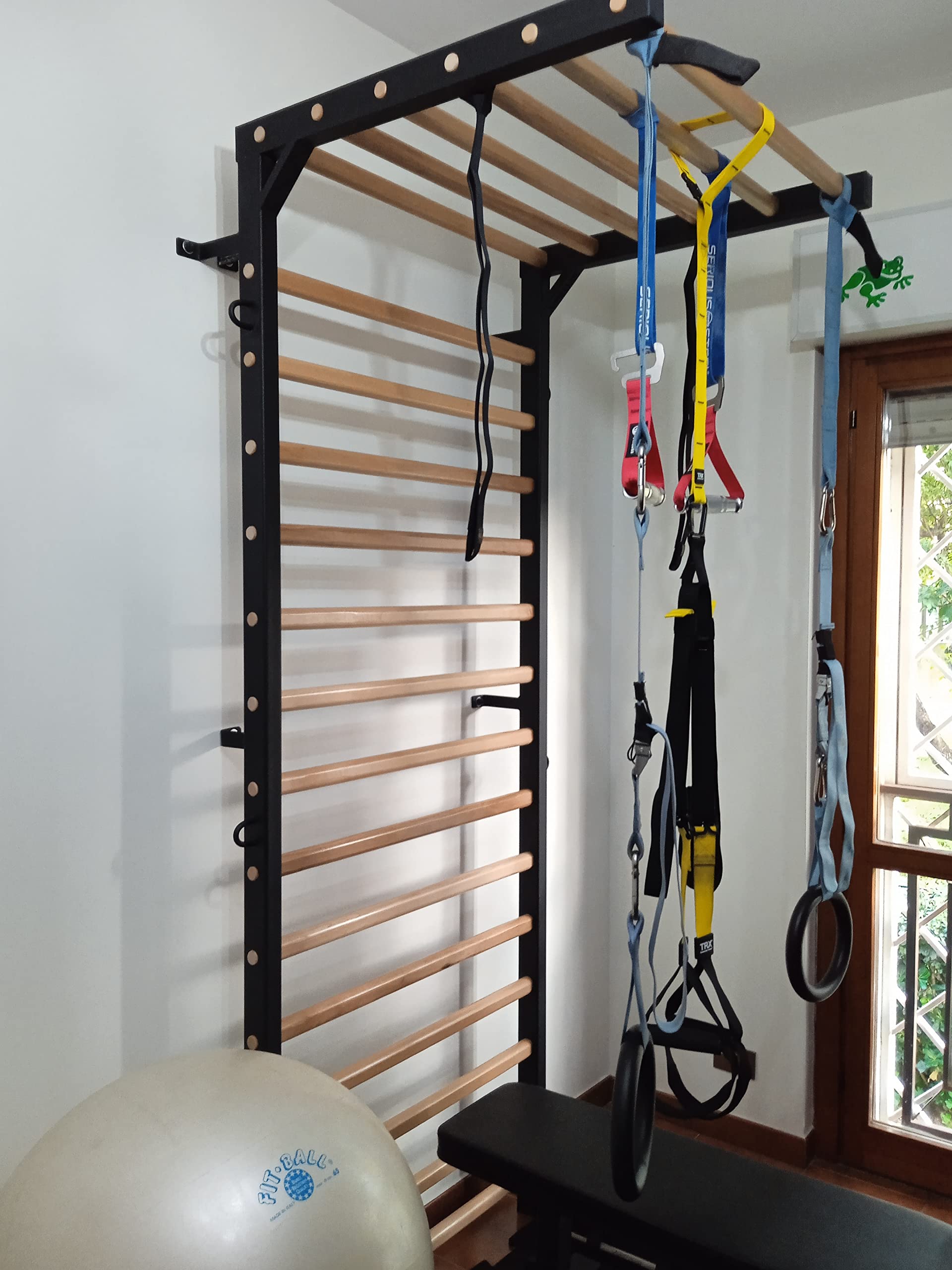 ARTIMEX spalliera in Metallo/Legno per Terapia Fisica e Ginnastica - utilizzato in Case, palestre, cliniche e Centri Fitness - 240x90 cm, Modello Spartan, codice 277