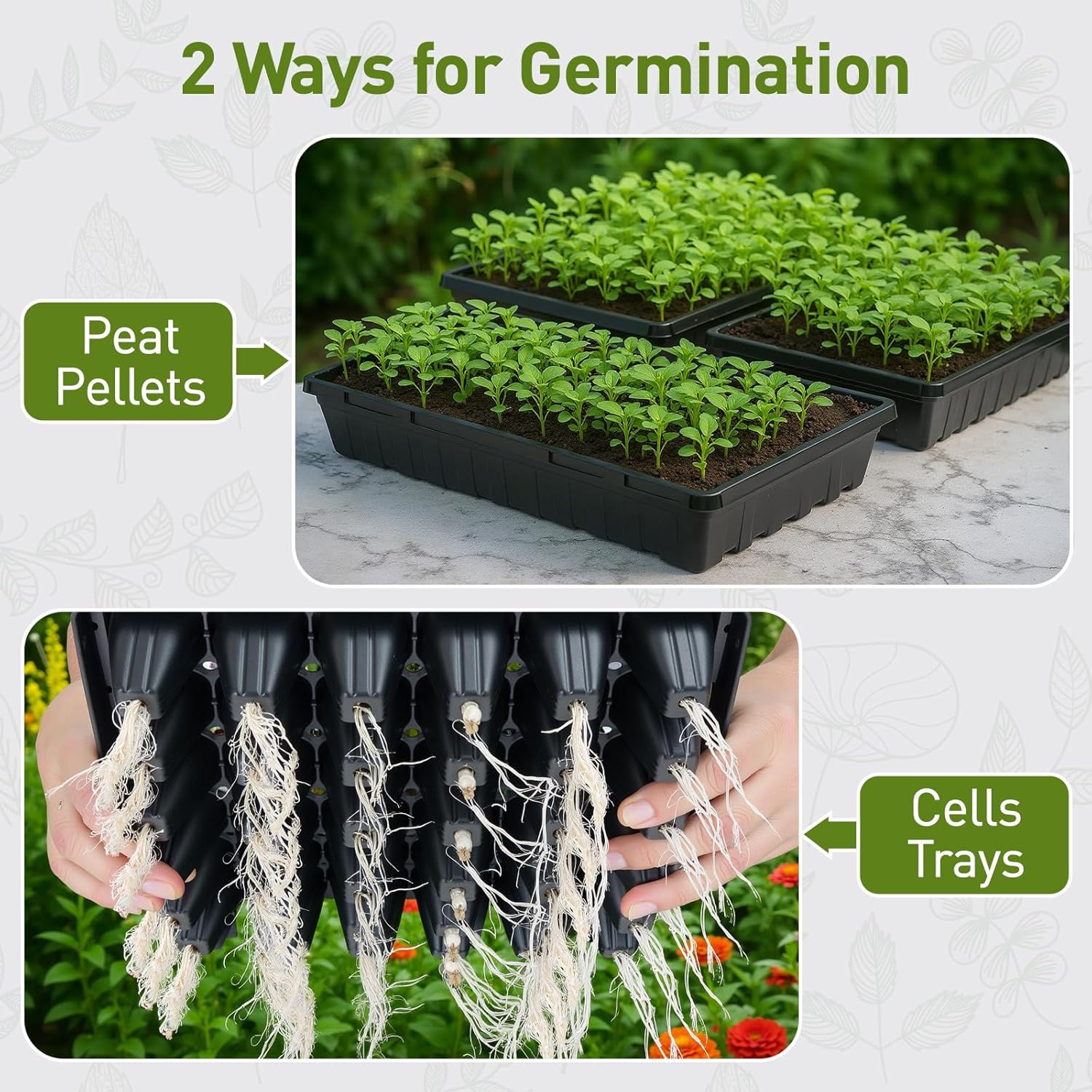 ZJP 5-Pack Seed Starter Trays Set – Includes 1020 Trays (No Holes) + 72-Cell Deep Plug Trays (2.44" Deep) + 5" Clear Humidity Domes for Vegetables, Herbs, Flowers