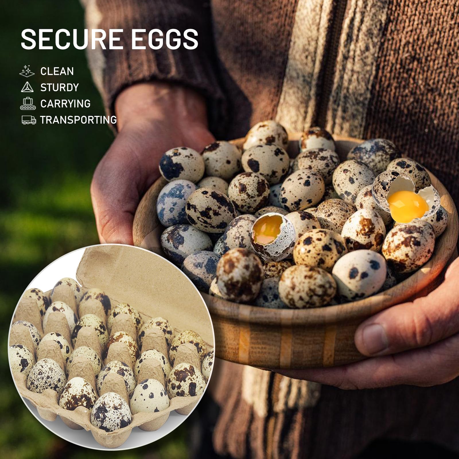 Cajas de huevos de codorniz, paquete de 30 unidades, capacidad para hasta dos docenas de 24 huevos, contenedor en blanco a granel, cajas vacías de cartón de pulpa natural, con tijeras,