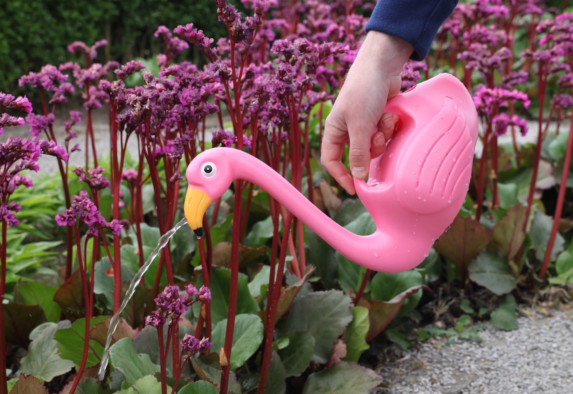 Amazon.com : Esschert Design TG229 Flamingo Watering Can : Patio