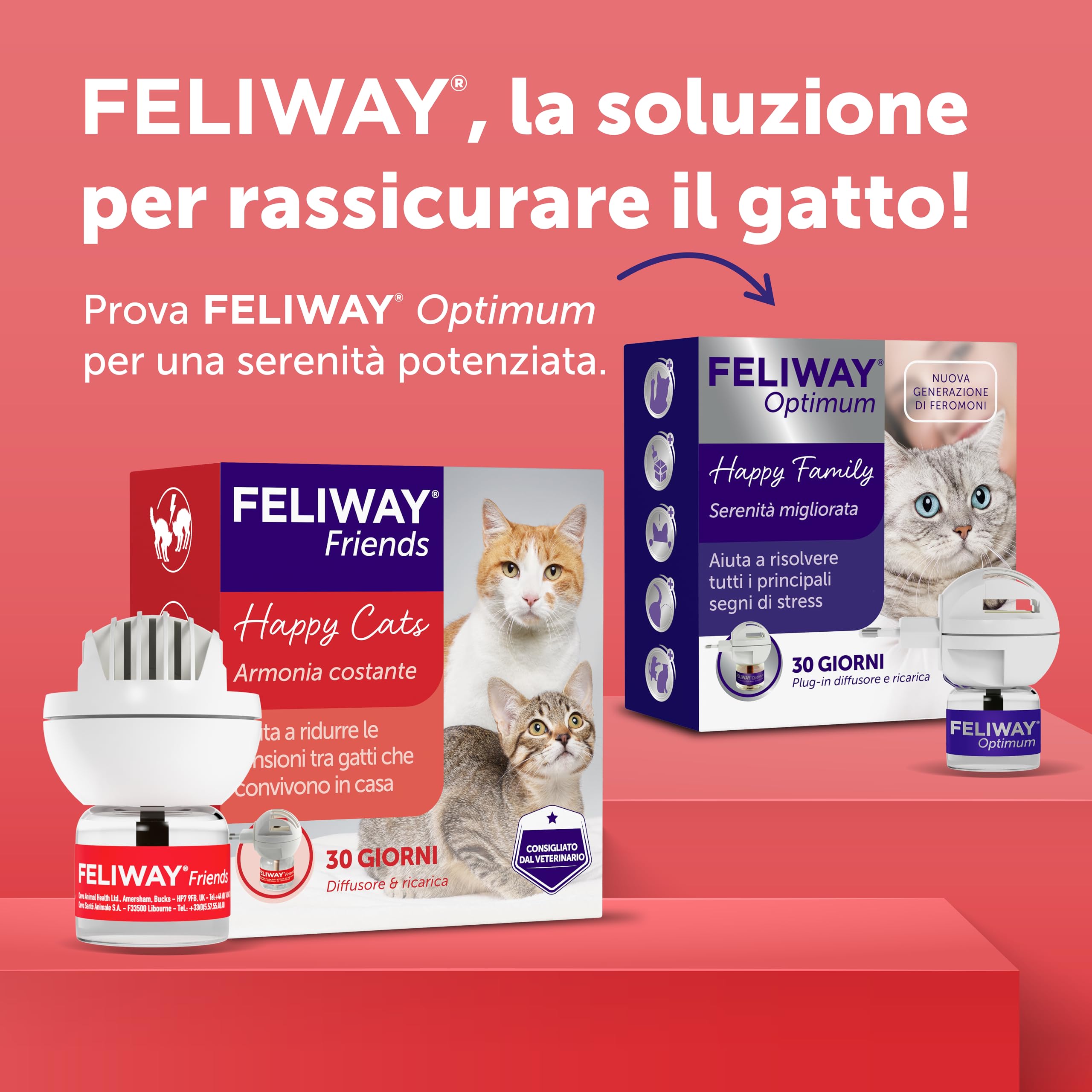 FELIWAY Friends Starter Kit Diffusore di Feromoni Calmanti per Gatti, 48 ml – Aiuta a creare armonia e risolvere conflitti in case con più gatti, Raccomandato dai Veterinari, Clinicamente Testato.