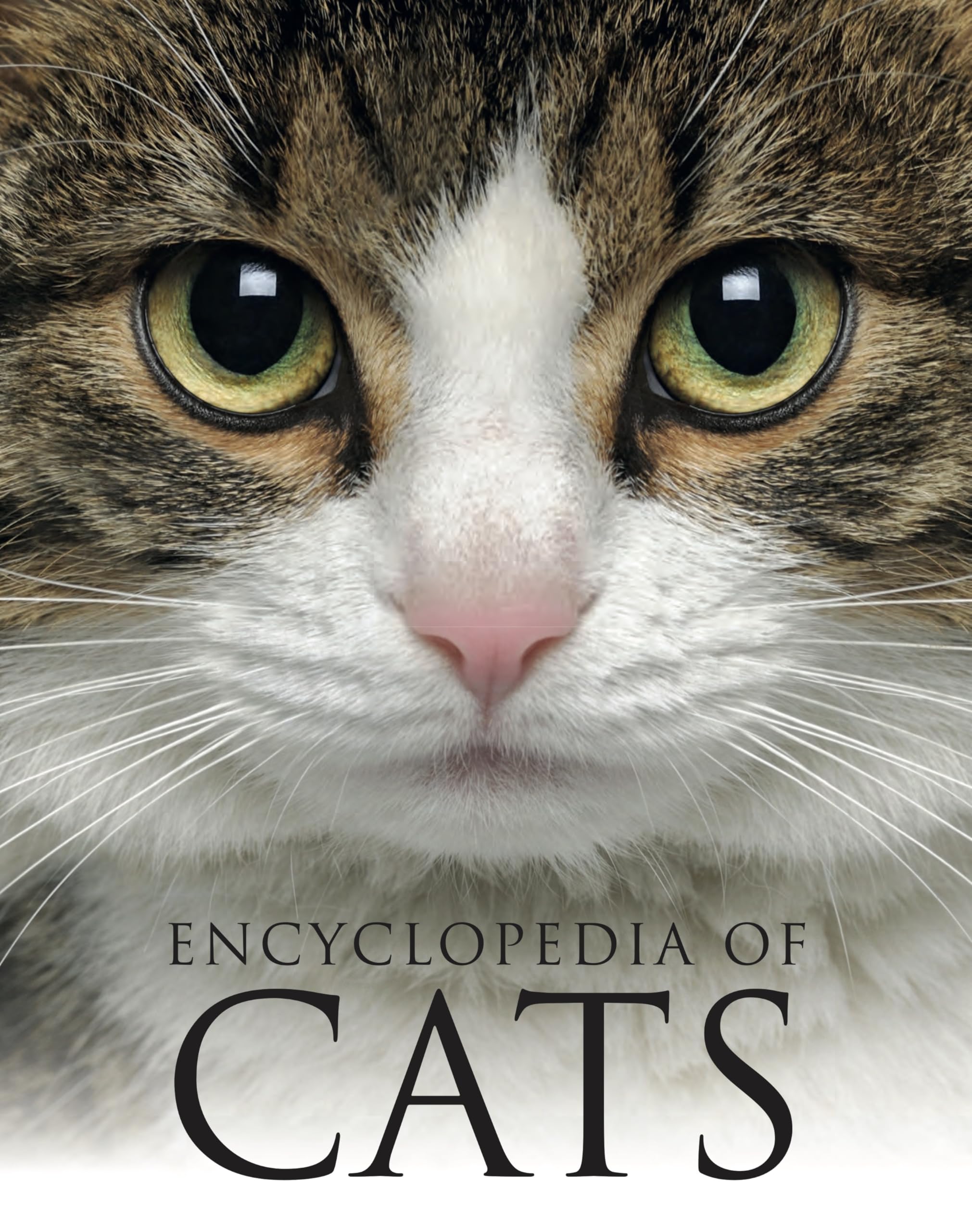 Encyclopedia of Cats (Encyclopedias)
