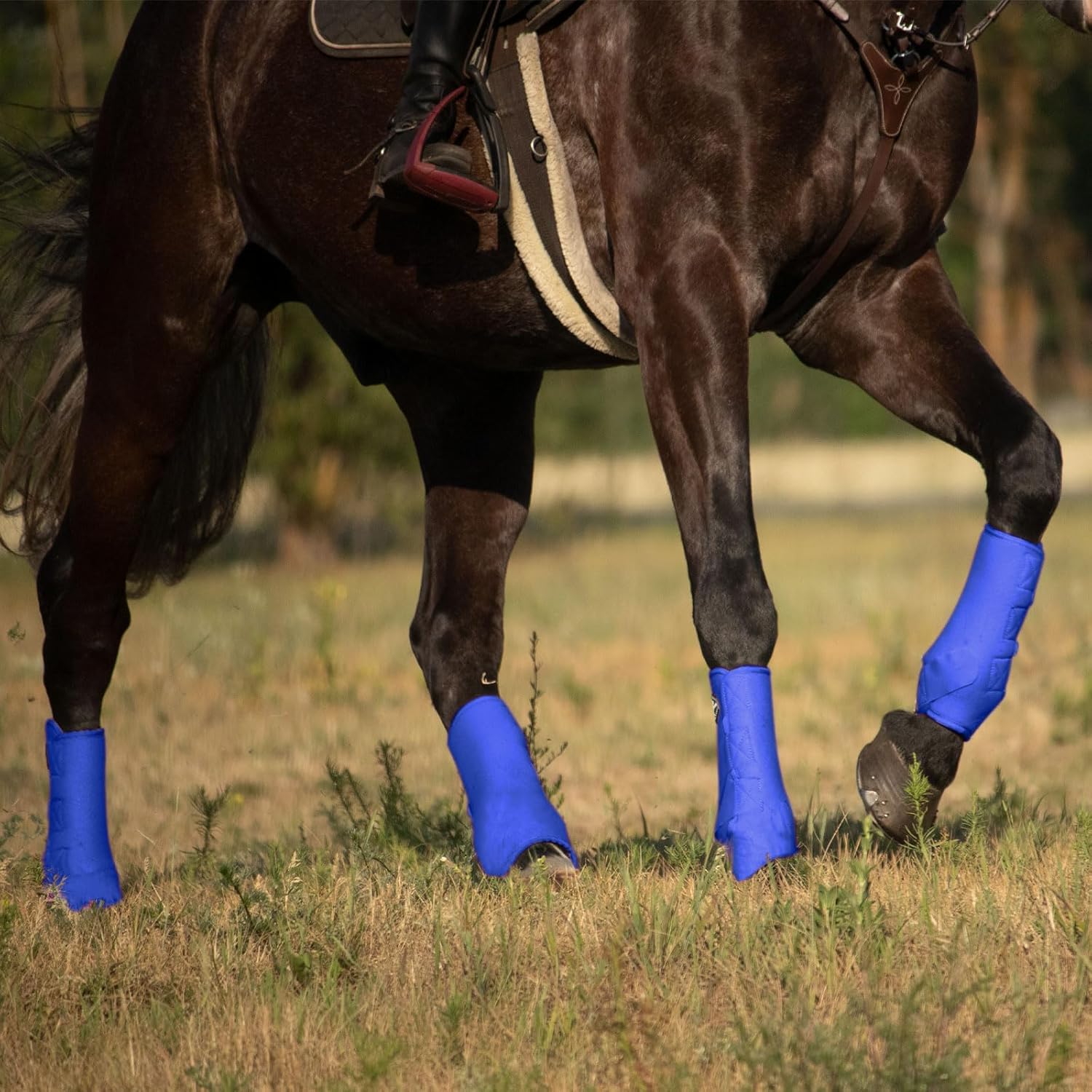Harrison Howard Horse Sport Medicine Front Shock-Absorbing Boots All-Round Lower Limb Protection & Support Sport Boots Athletic Boots Perfect for Endurance Training and Performance Aquamarine M